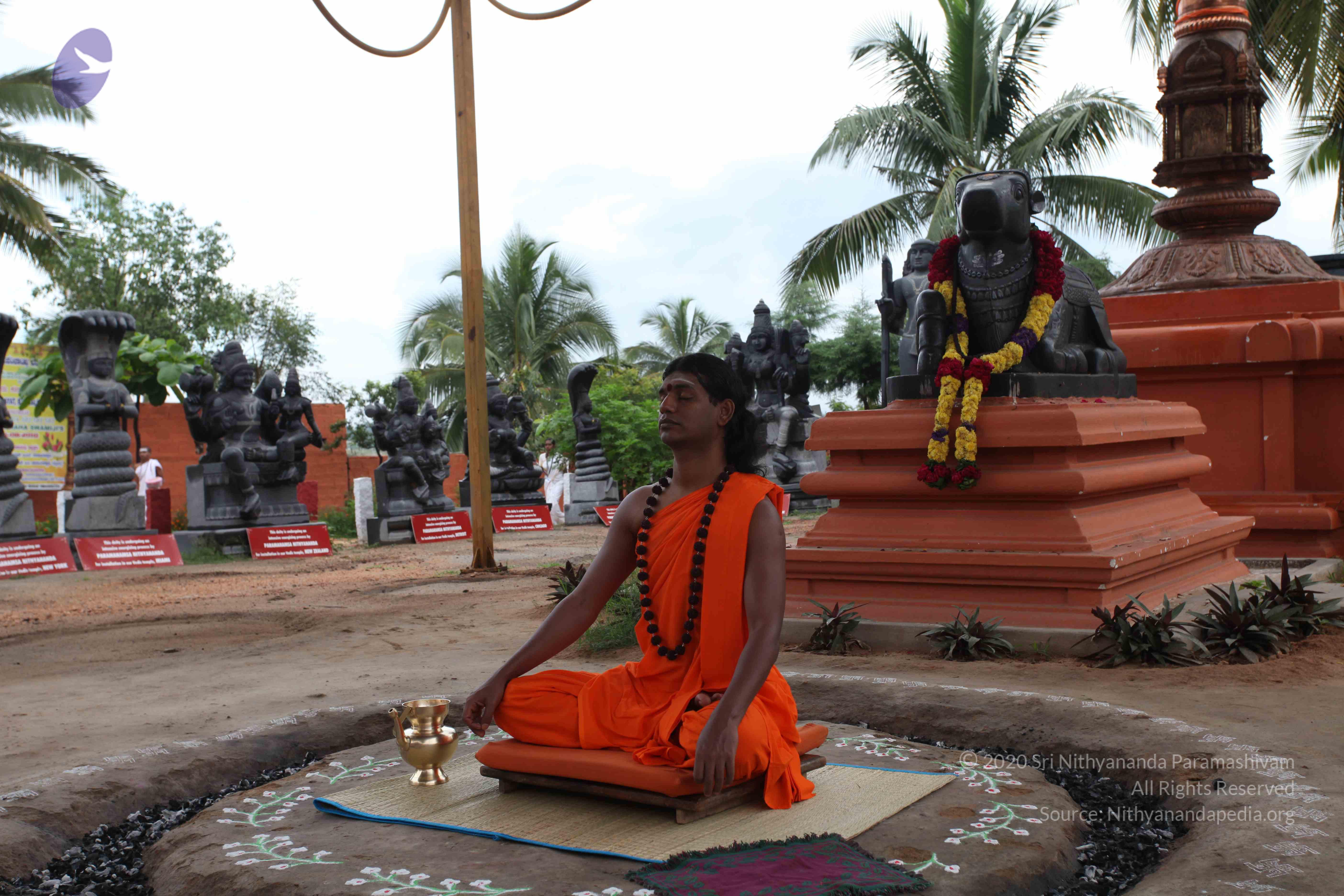 20101103_Photo_1129_IMG_9104_CMP_WM