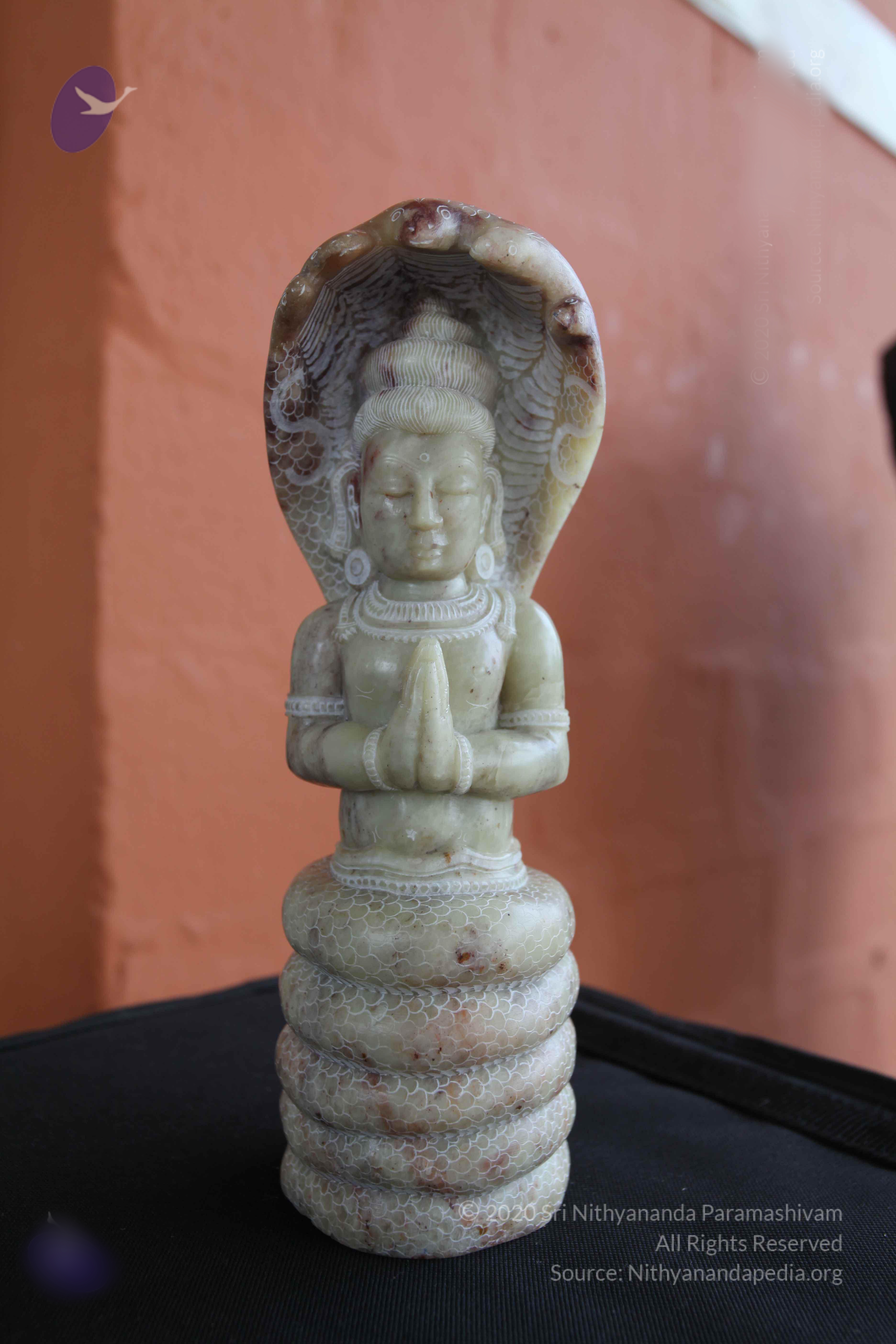 20101103_Photo_1132_IMG_9386_CMP_WM