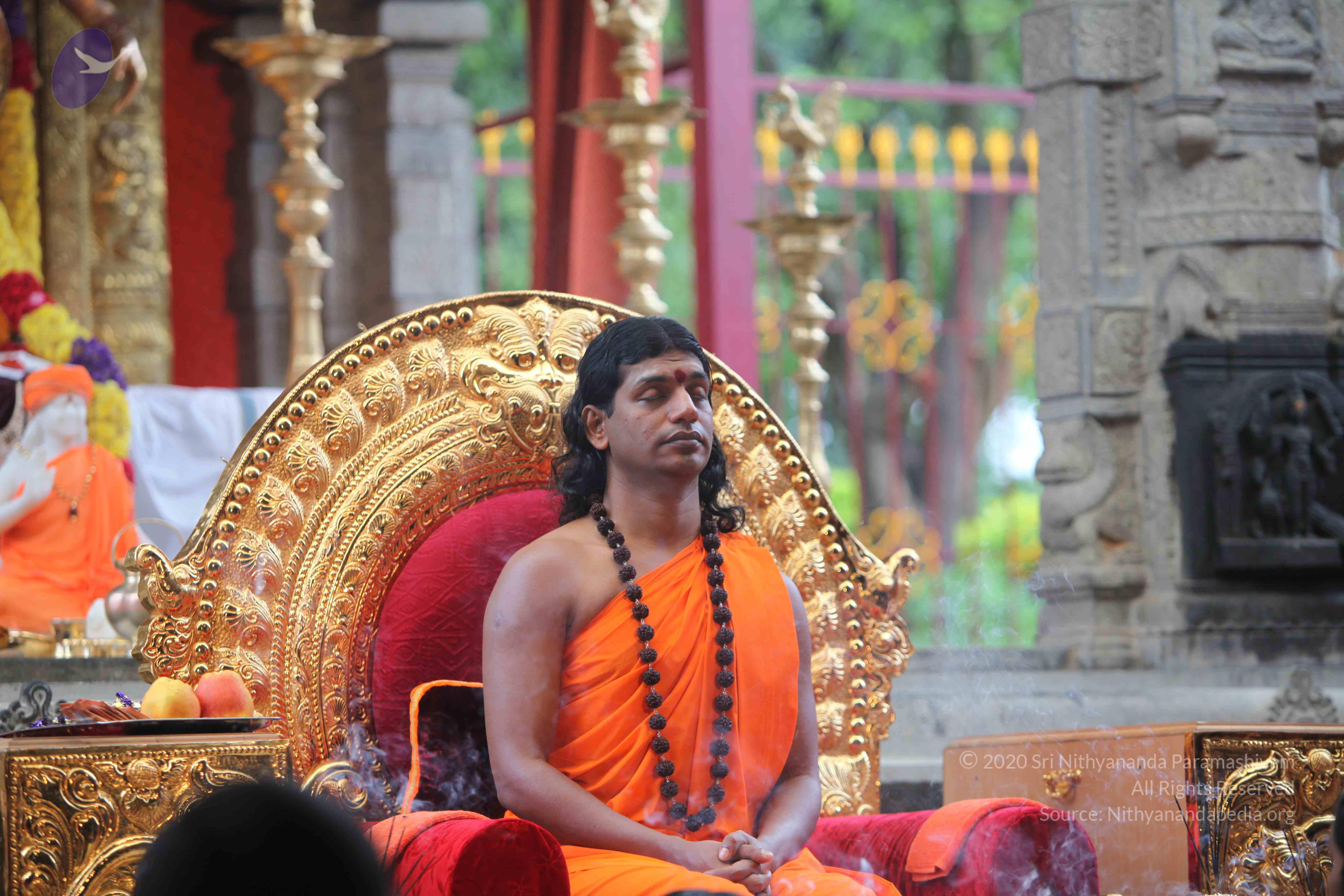 20101103_Photo_1133_IMG_9199_CMP_WM