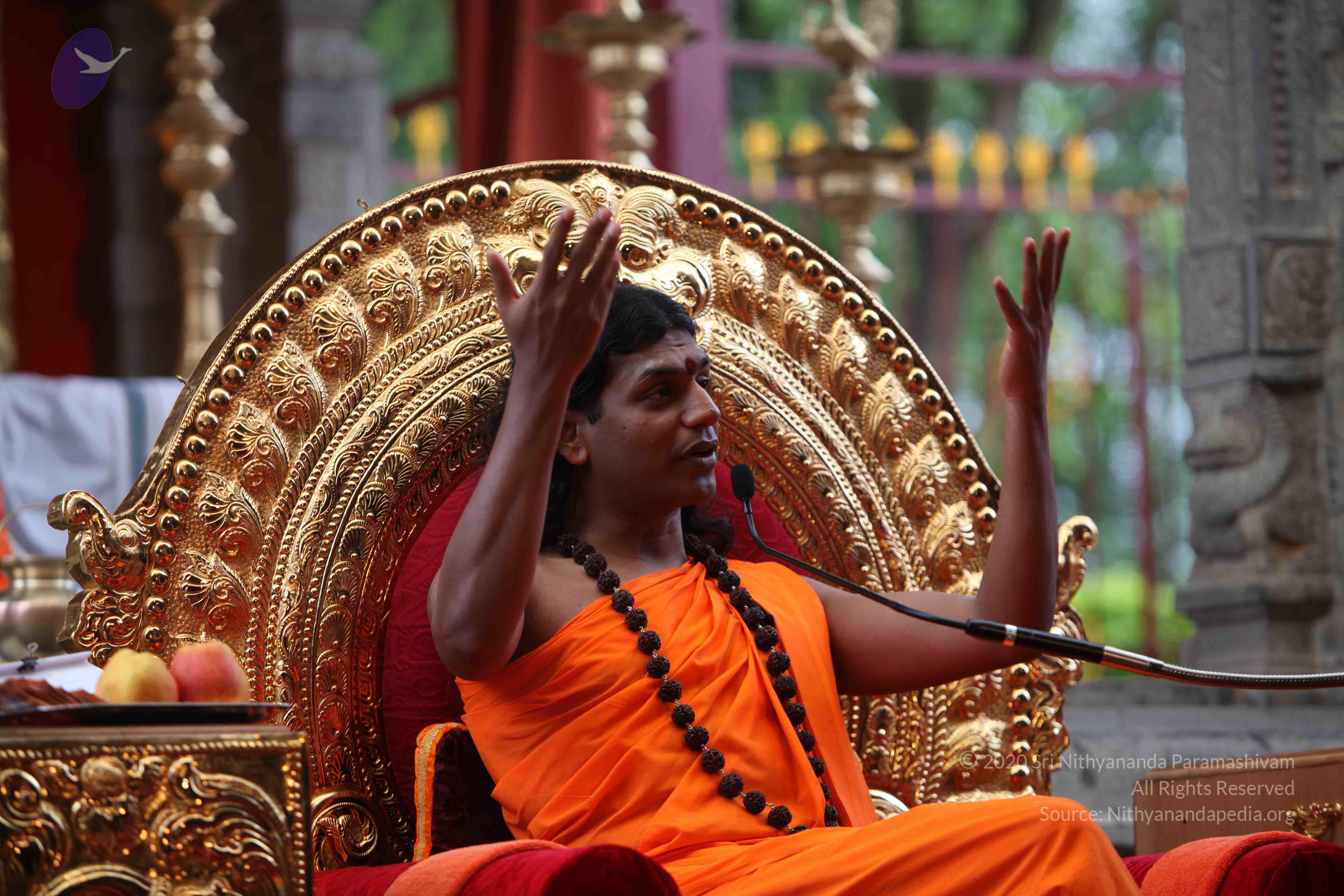 20101103_Photo_1135_IMG_9307_CMP_WM