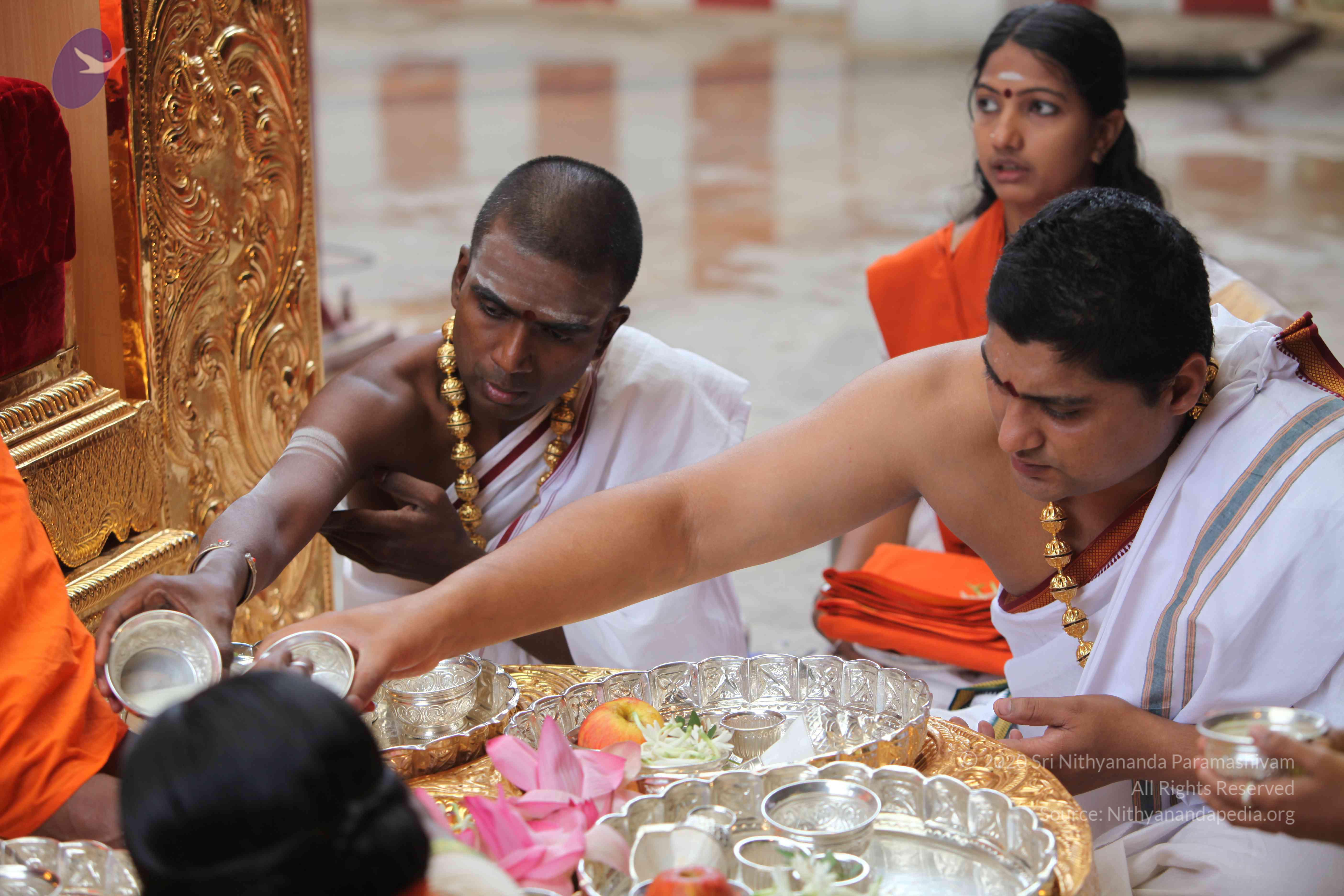 20101103_Photo_1141_IMG_9185_CMP_WM