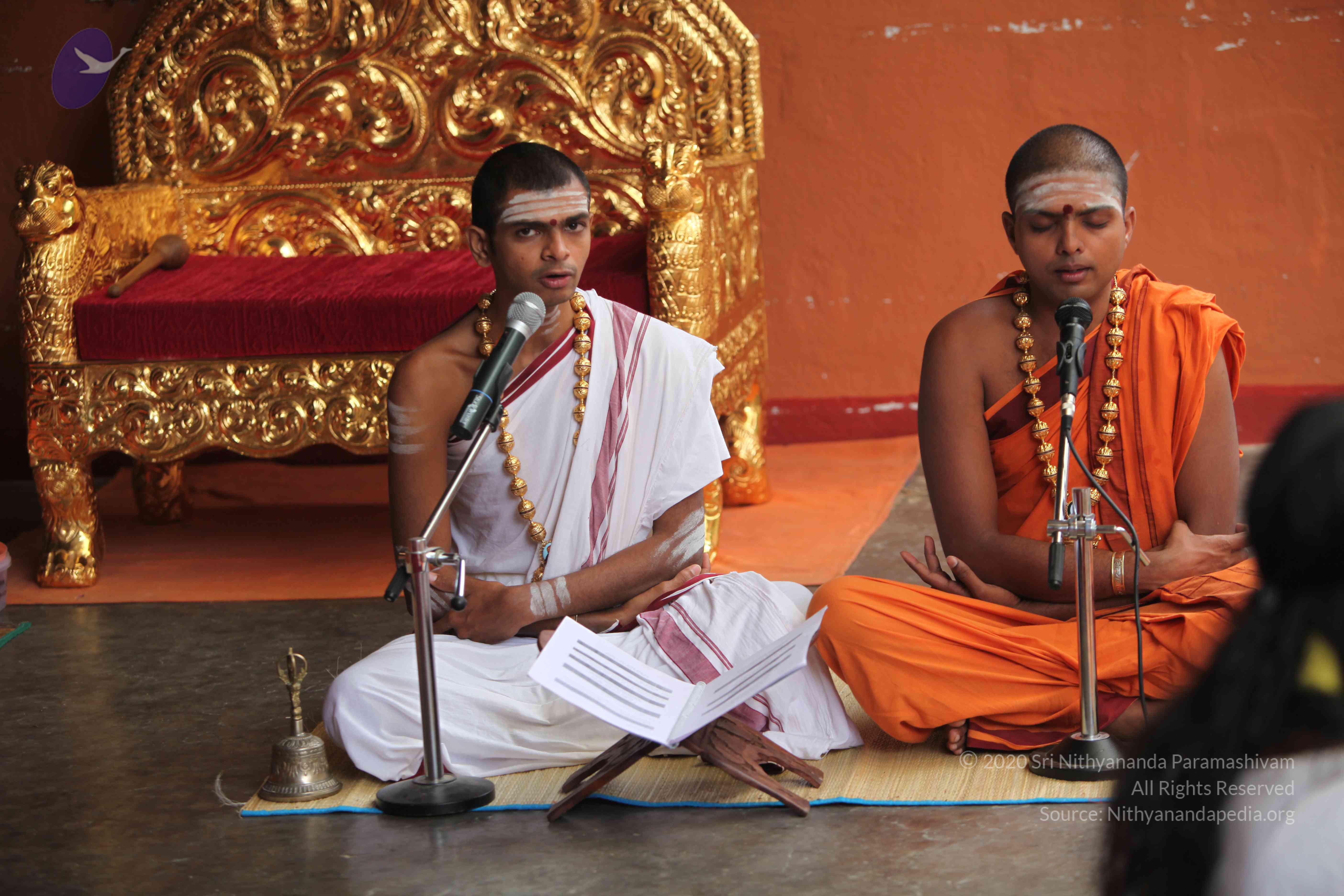 20101103_Photo_1147_IMG_9174_CMP_WM