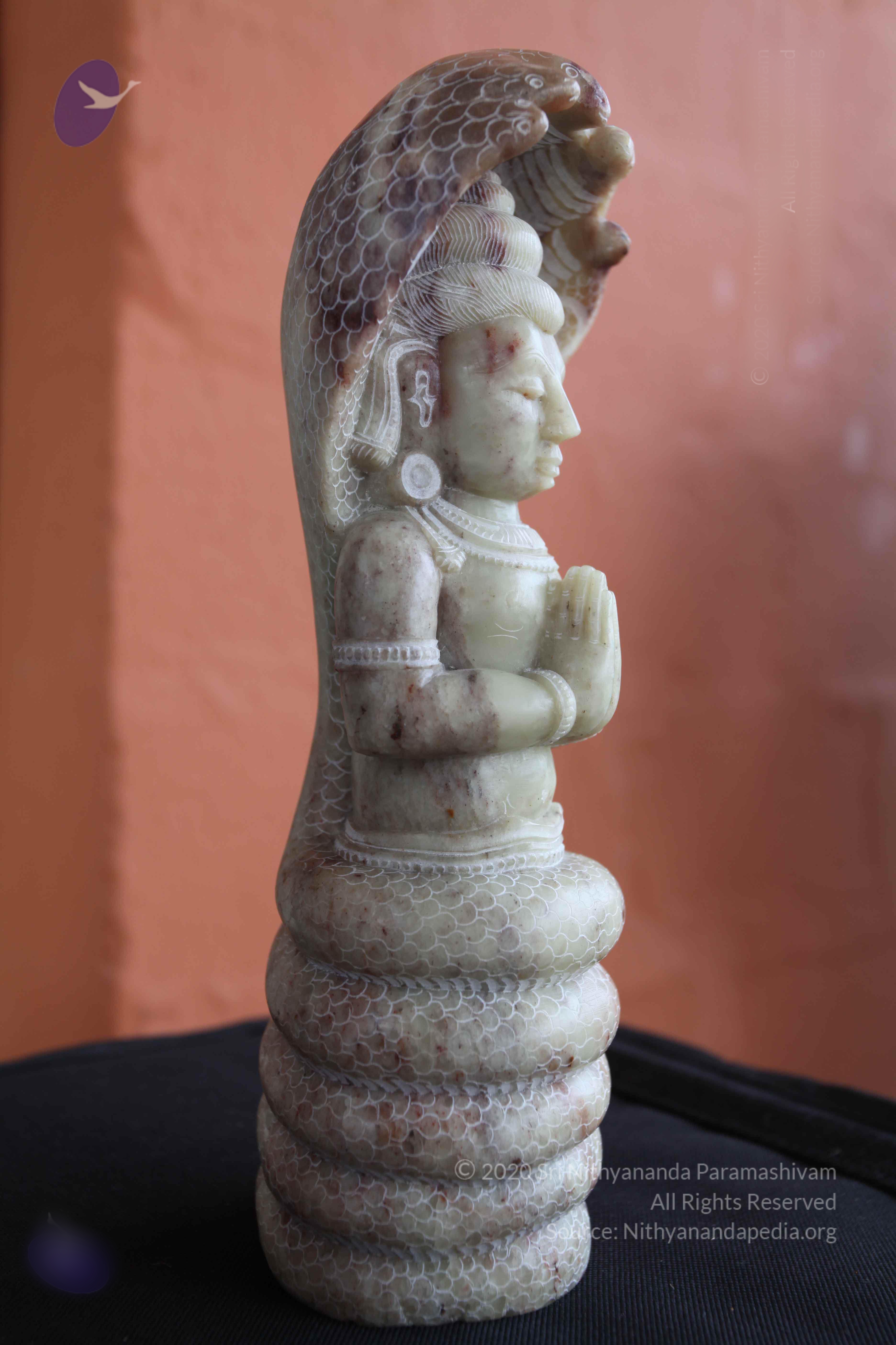 20101103_Photo_1149_IMG_9394_CMP_WM