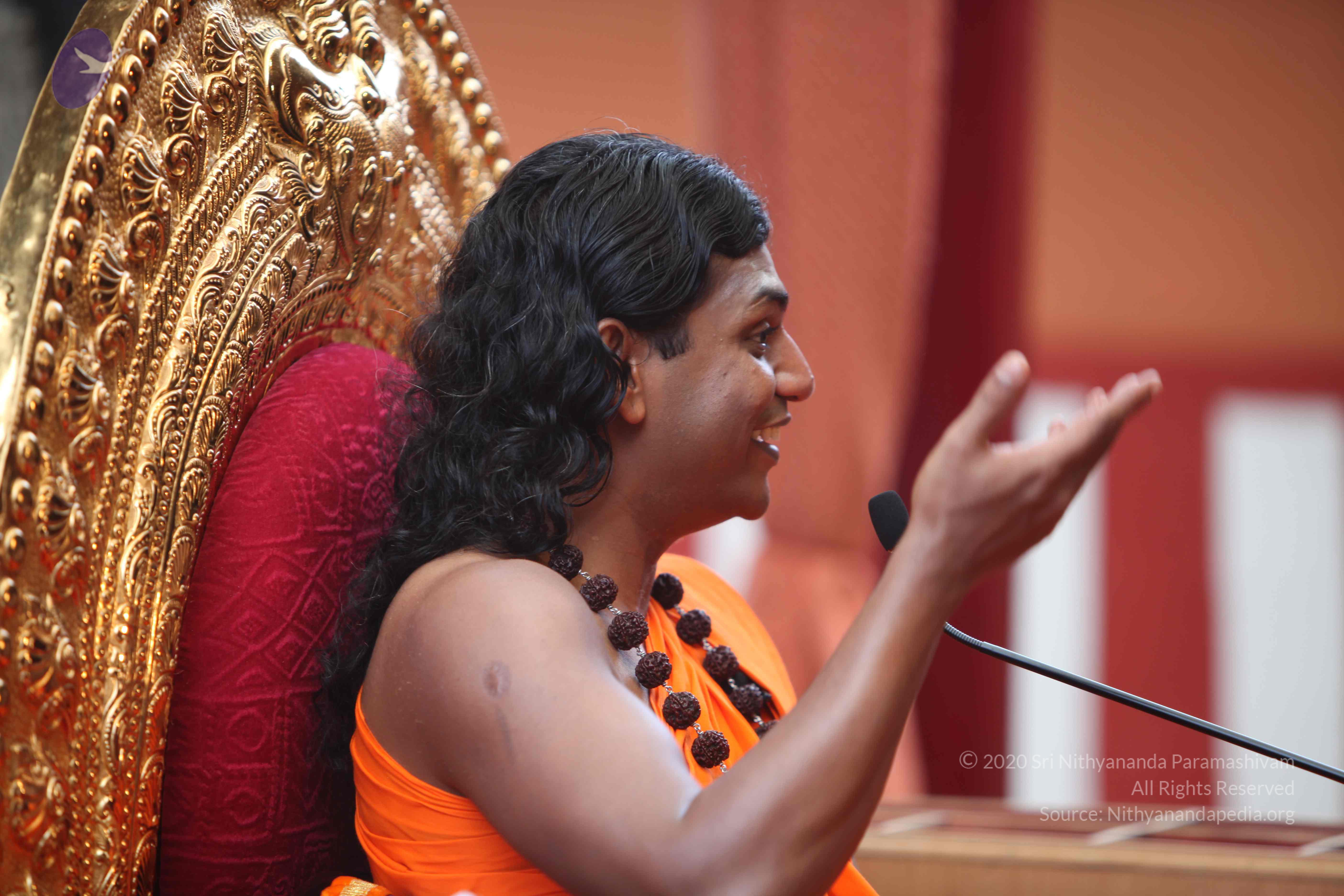 20101103_Photo_1150_IMG_9280_CMP_WM