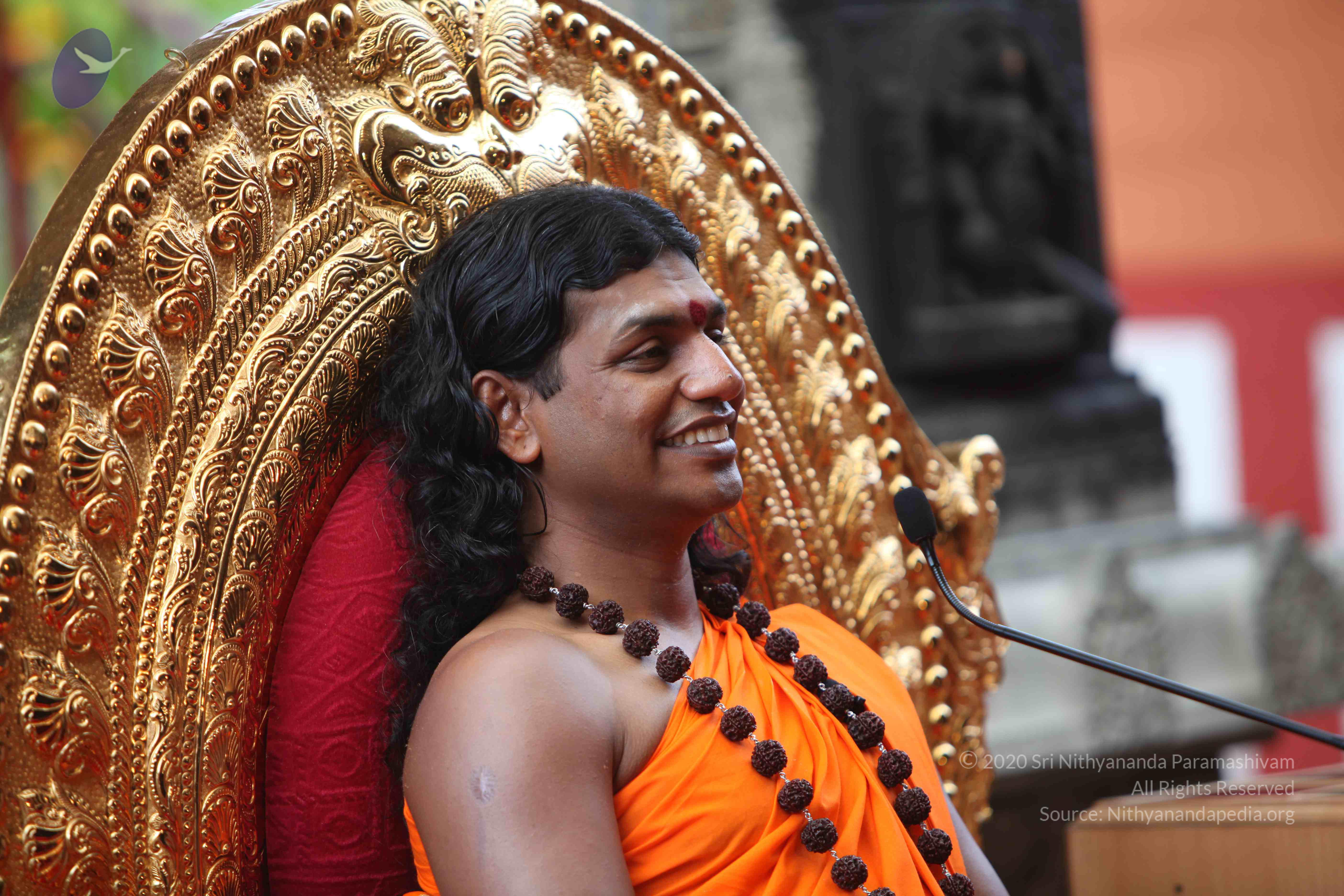 20101103_Photo_1151_IMG_9340_CMP_WM