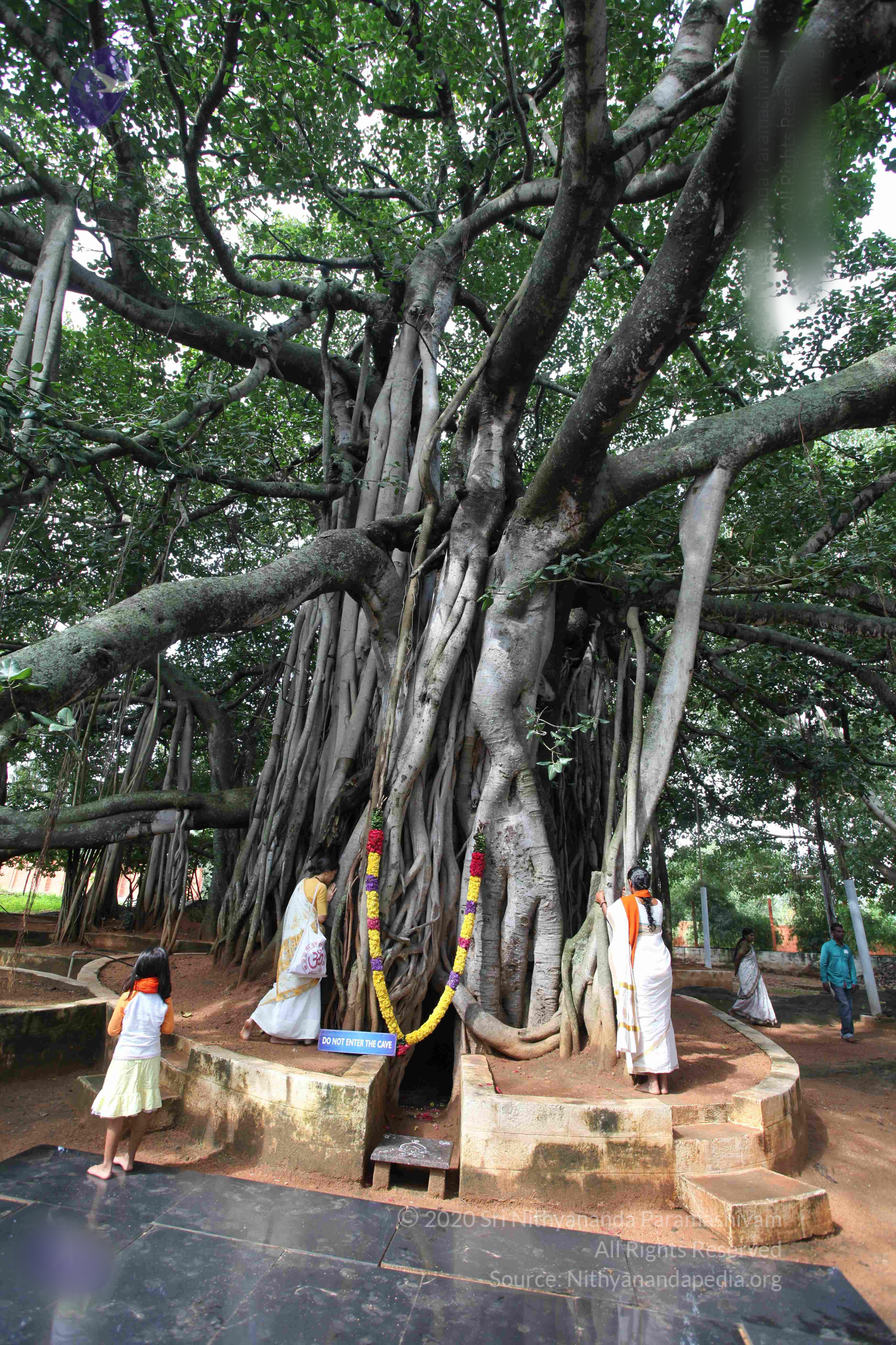 20101103_Photo_1152_IMG_9415_CMP_WM