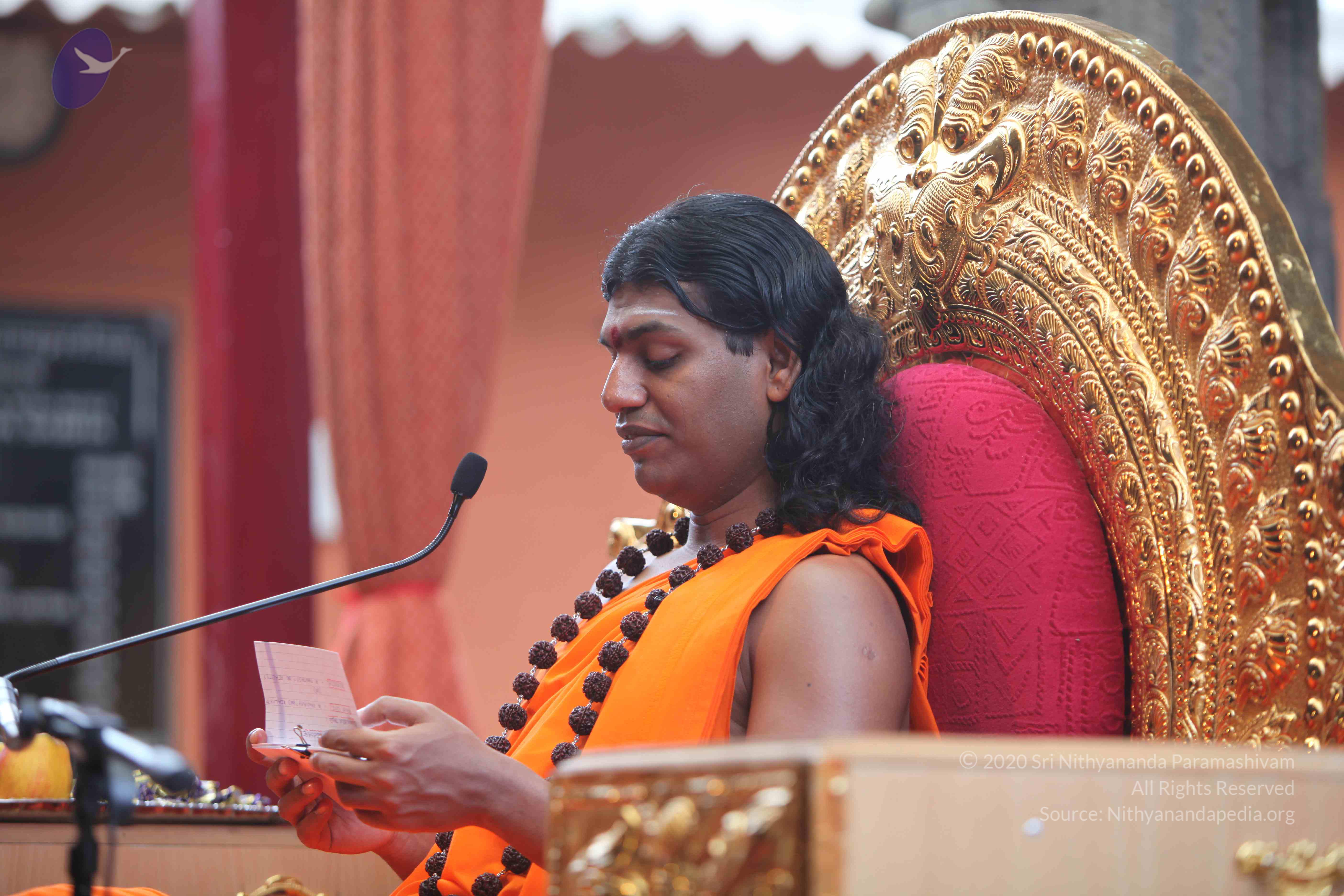 20101103_Photo_1154_IMG_9254_CMP_WM