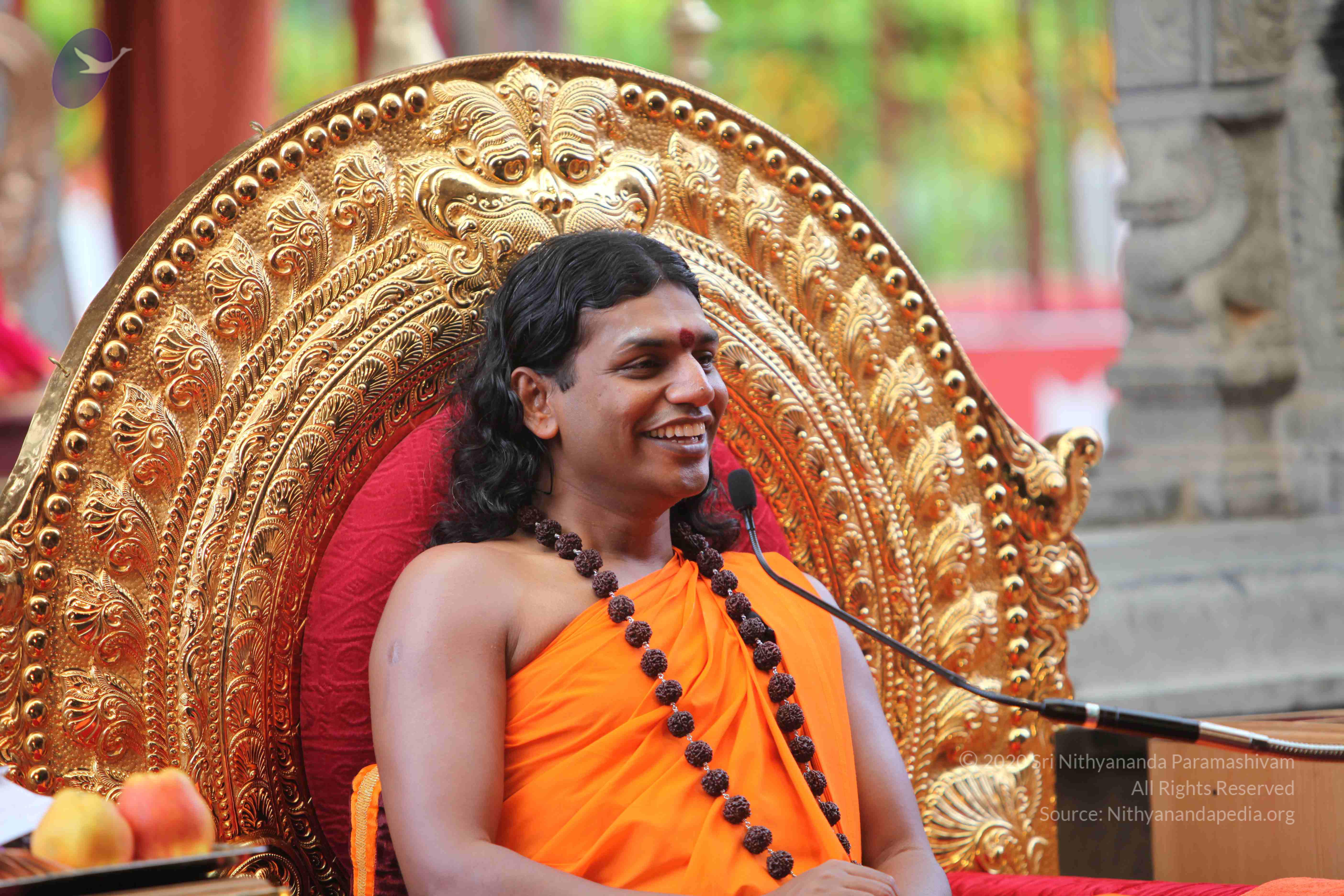 20101103_Photo_1156_IMG_9322_CMP_WM