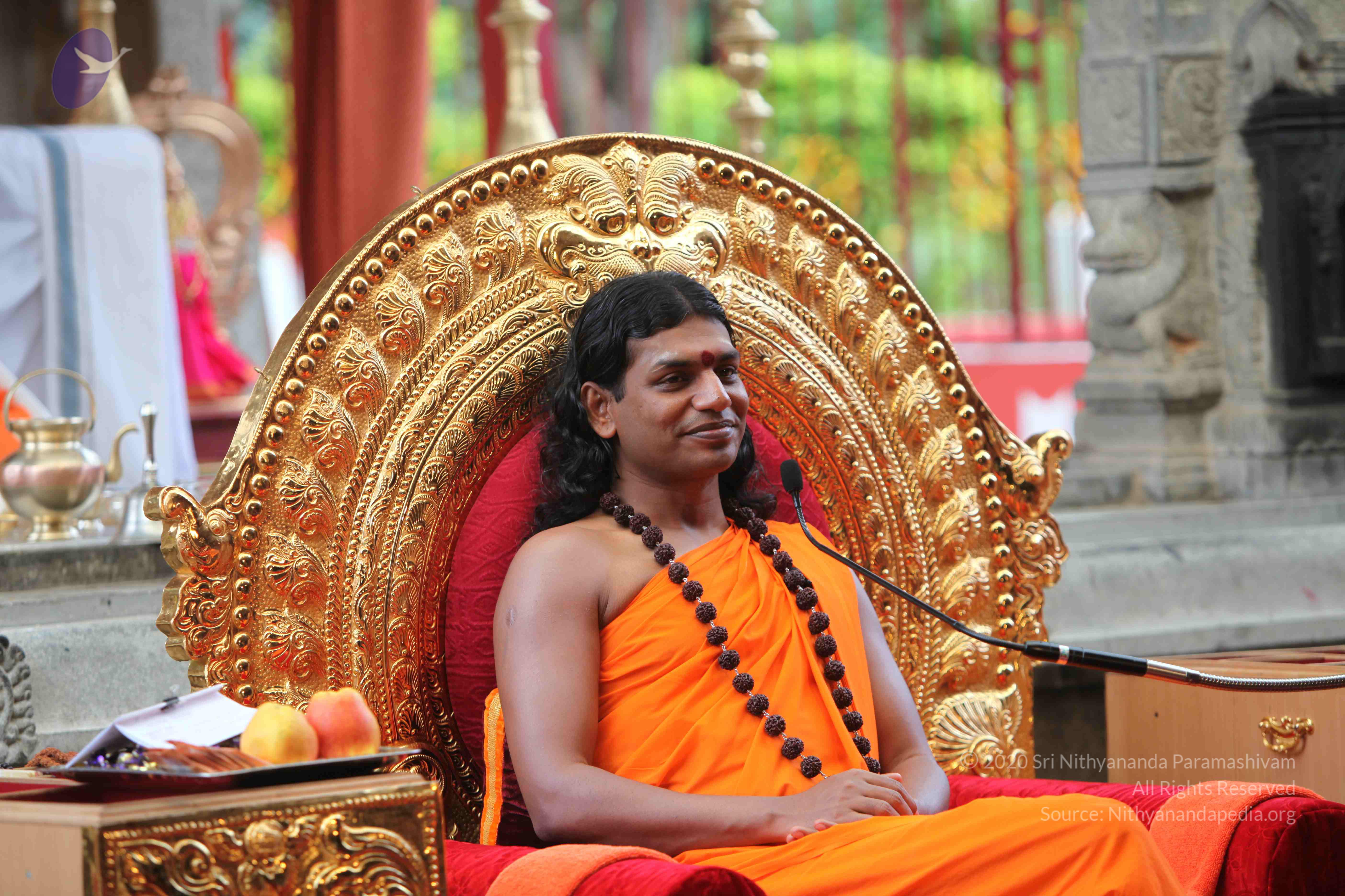 20101103_Photo_1157_IMG_9315_CMP_WM