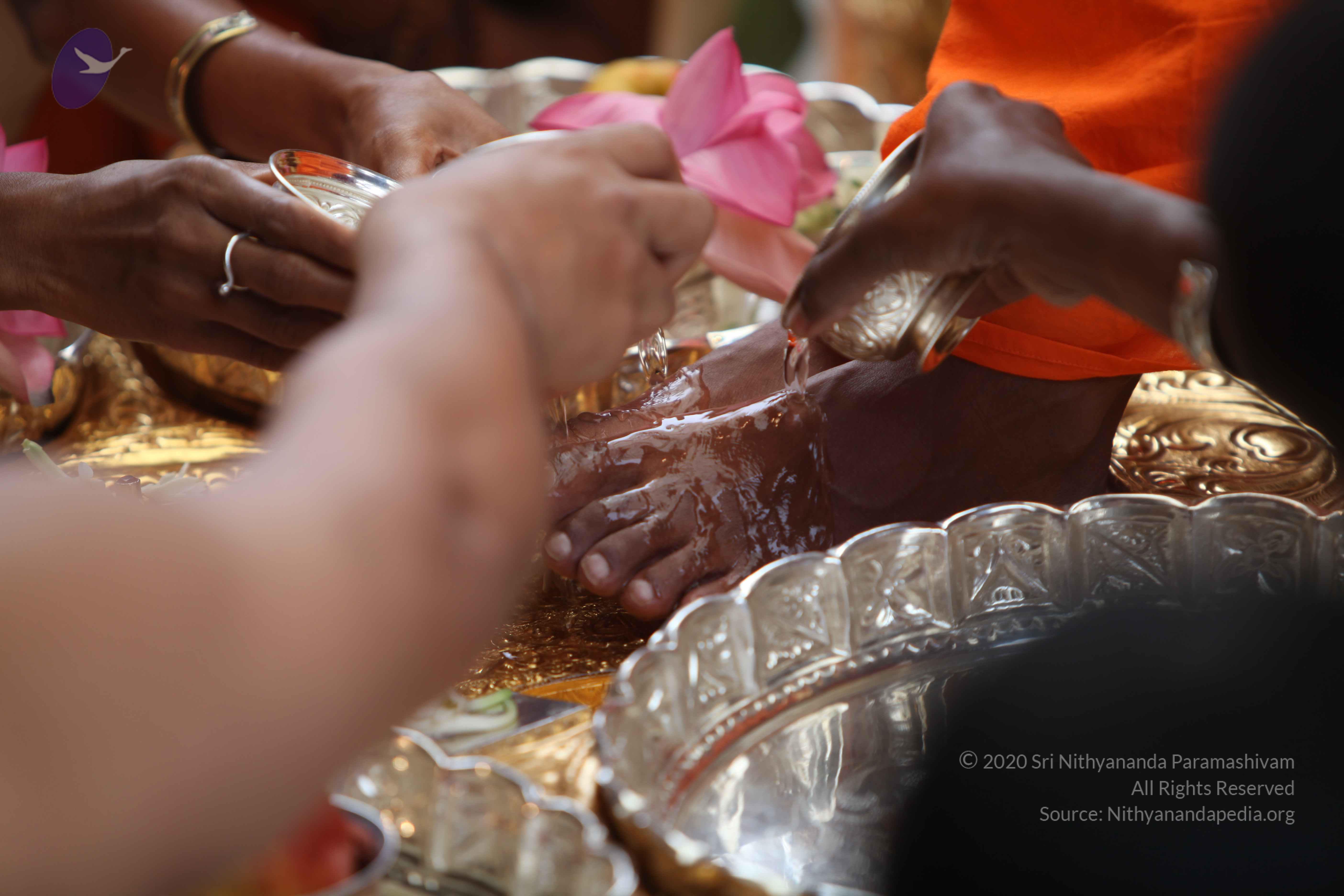 20101103_Photo_1158_IMG_9168_CMP_WM