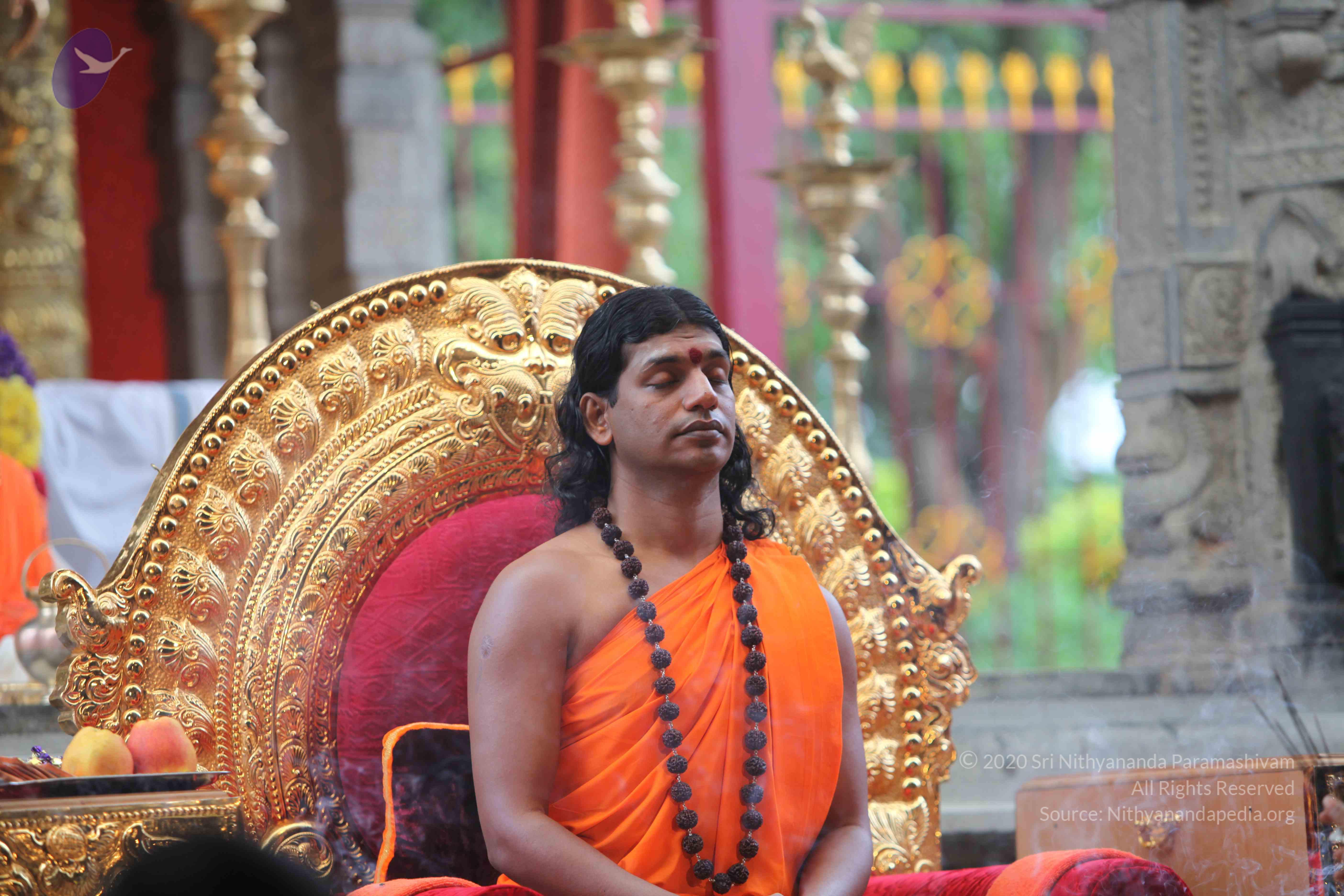 20101103_Photo_1161_IMG_9197_CMP_WM