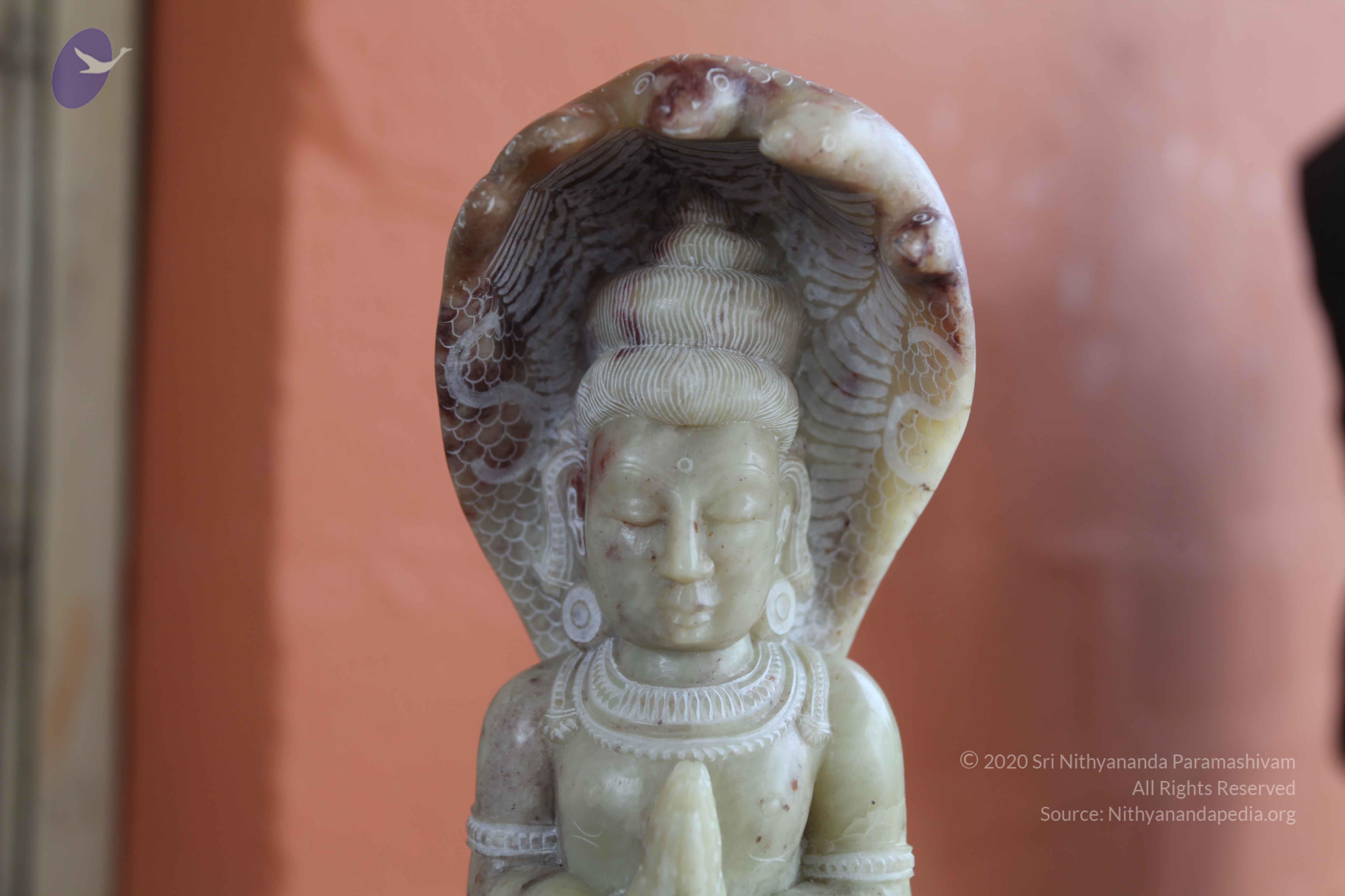 20101103_Photo_1162_IMG_9388_CMP_WM