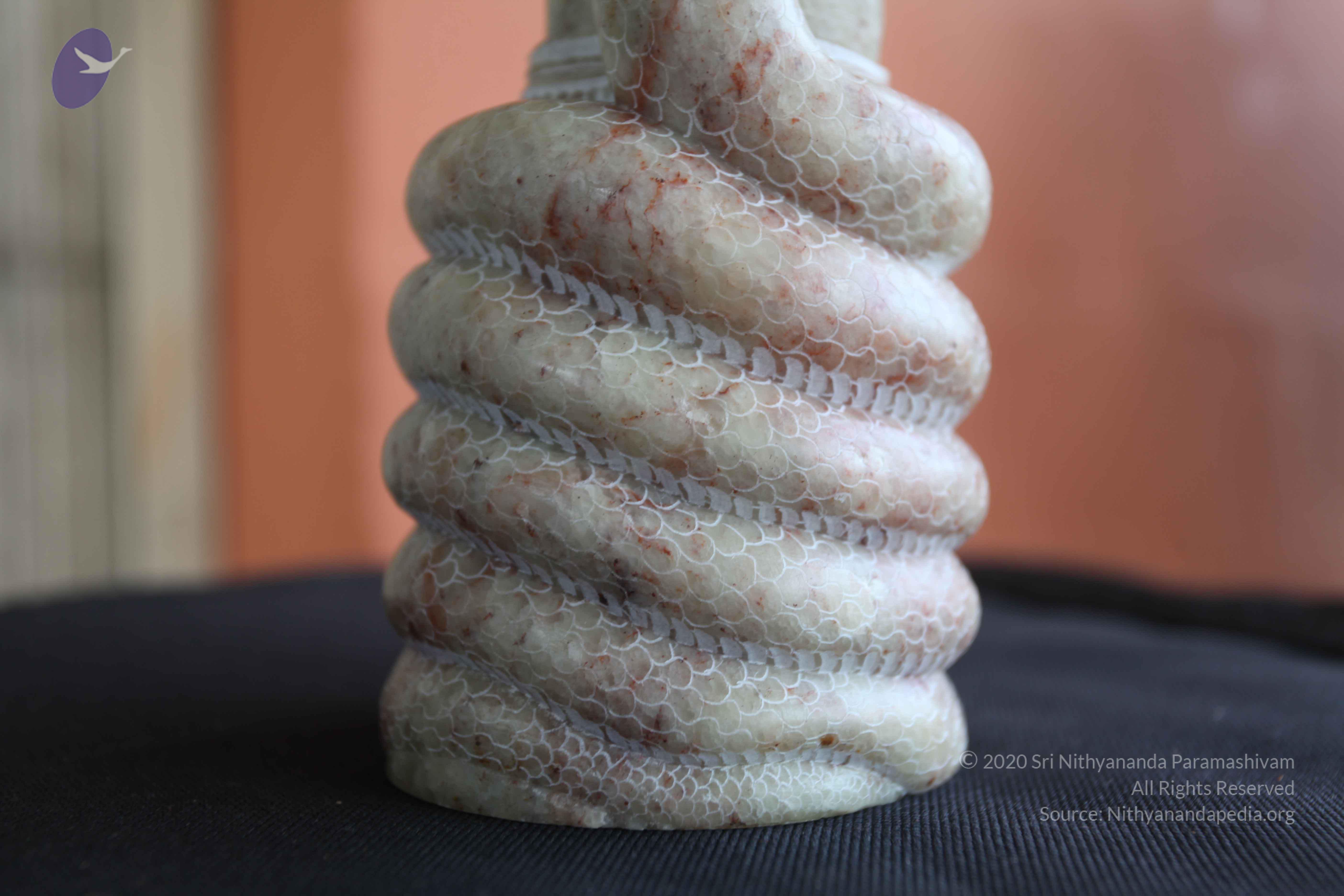 20101103_Photo_1163_IMG_9399_CMP_WM