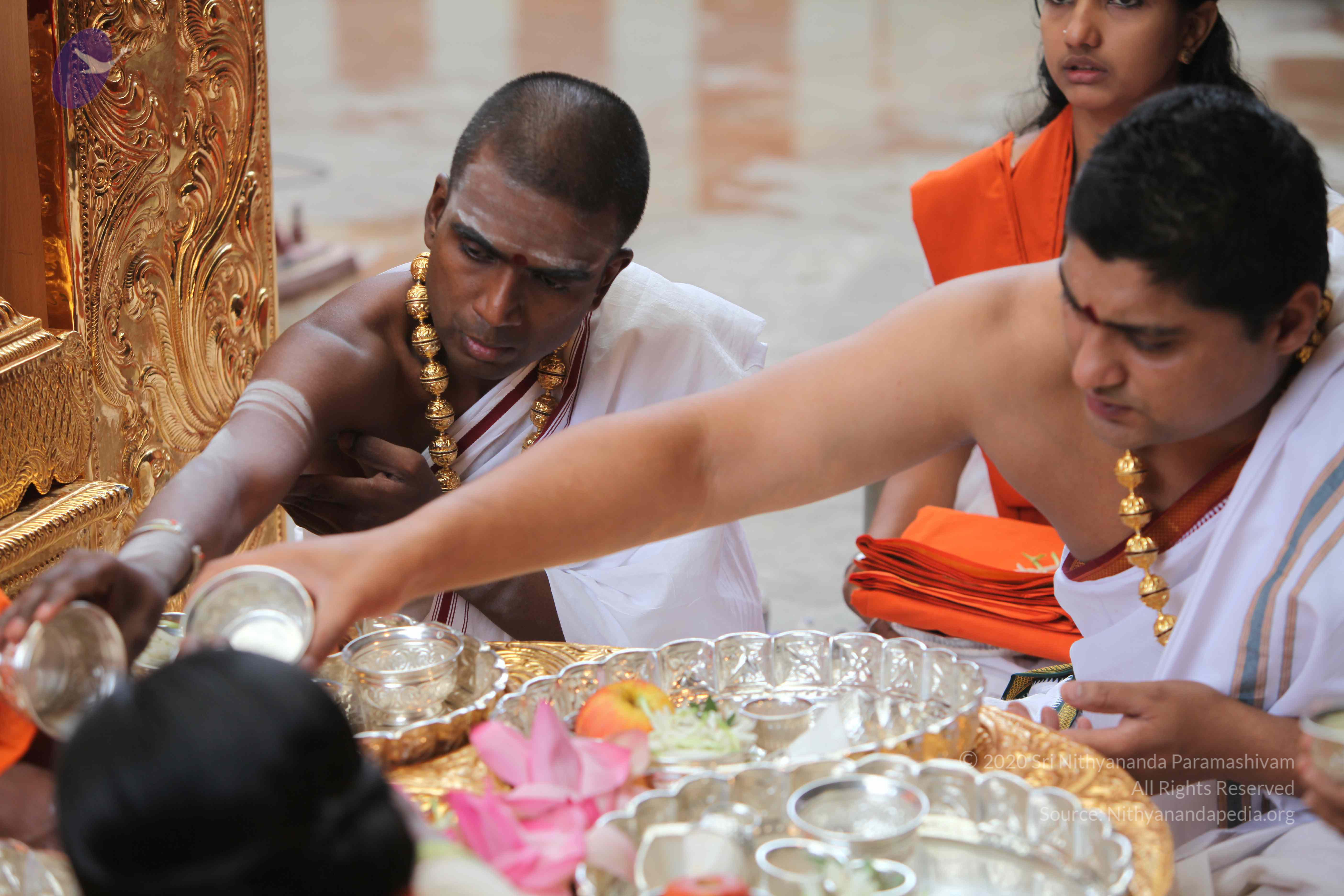 20101103_Photo_1164_IMG_9186_CMP_WM