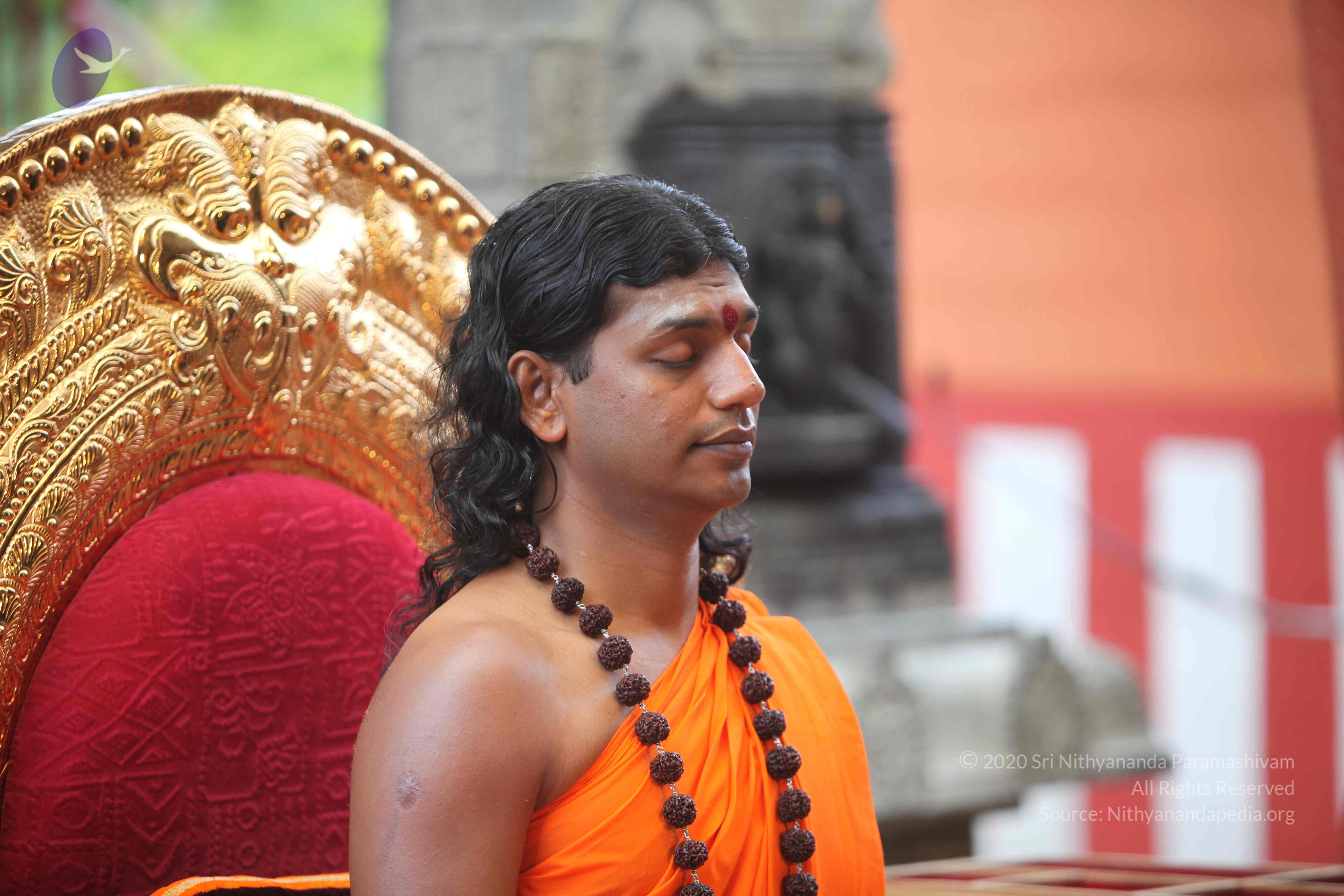 20101103_Photo_1169_IMG_9179_CMP_WM