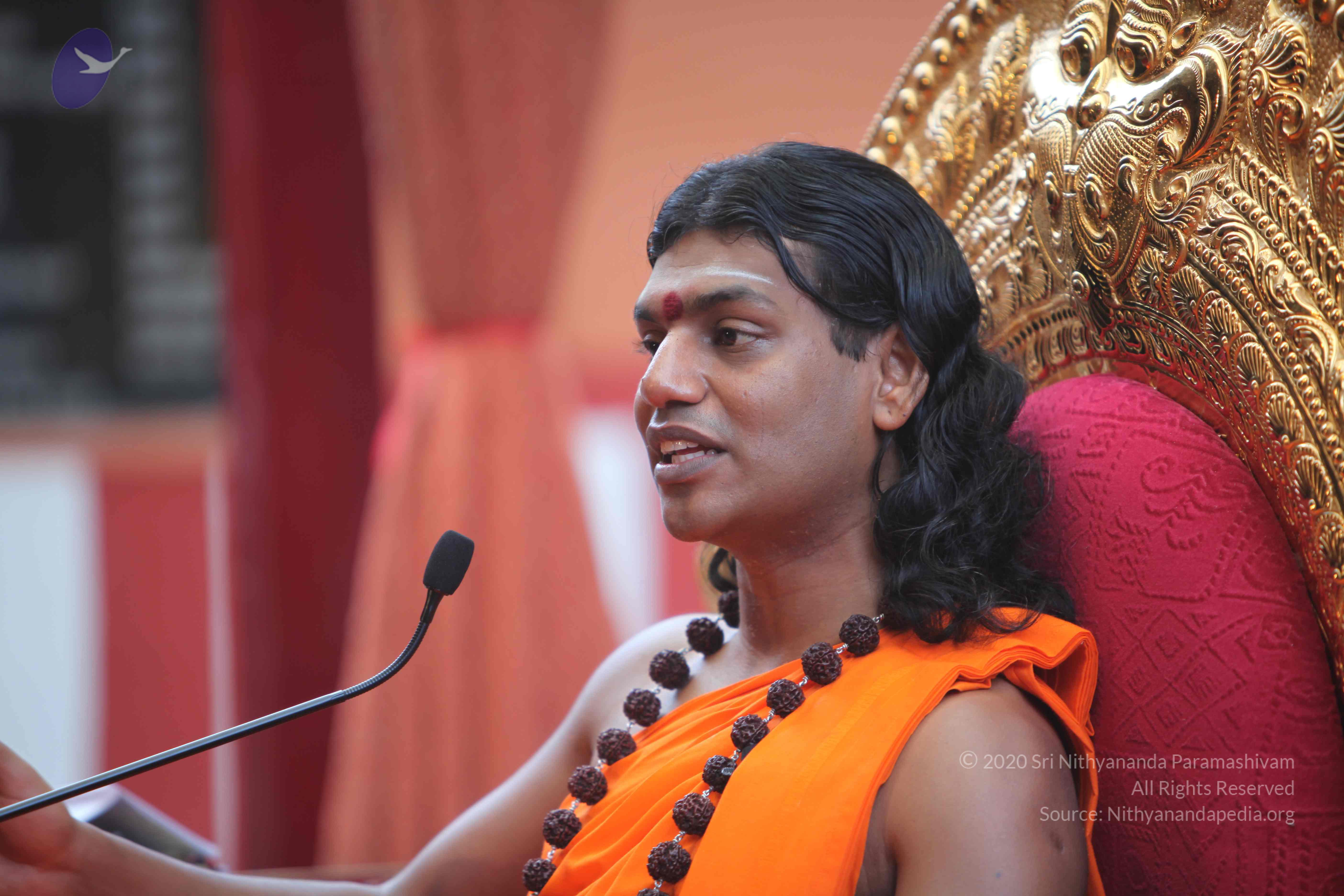 20101103_Photo_1170_IMG_9272_CMP_WM