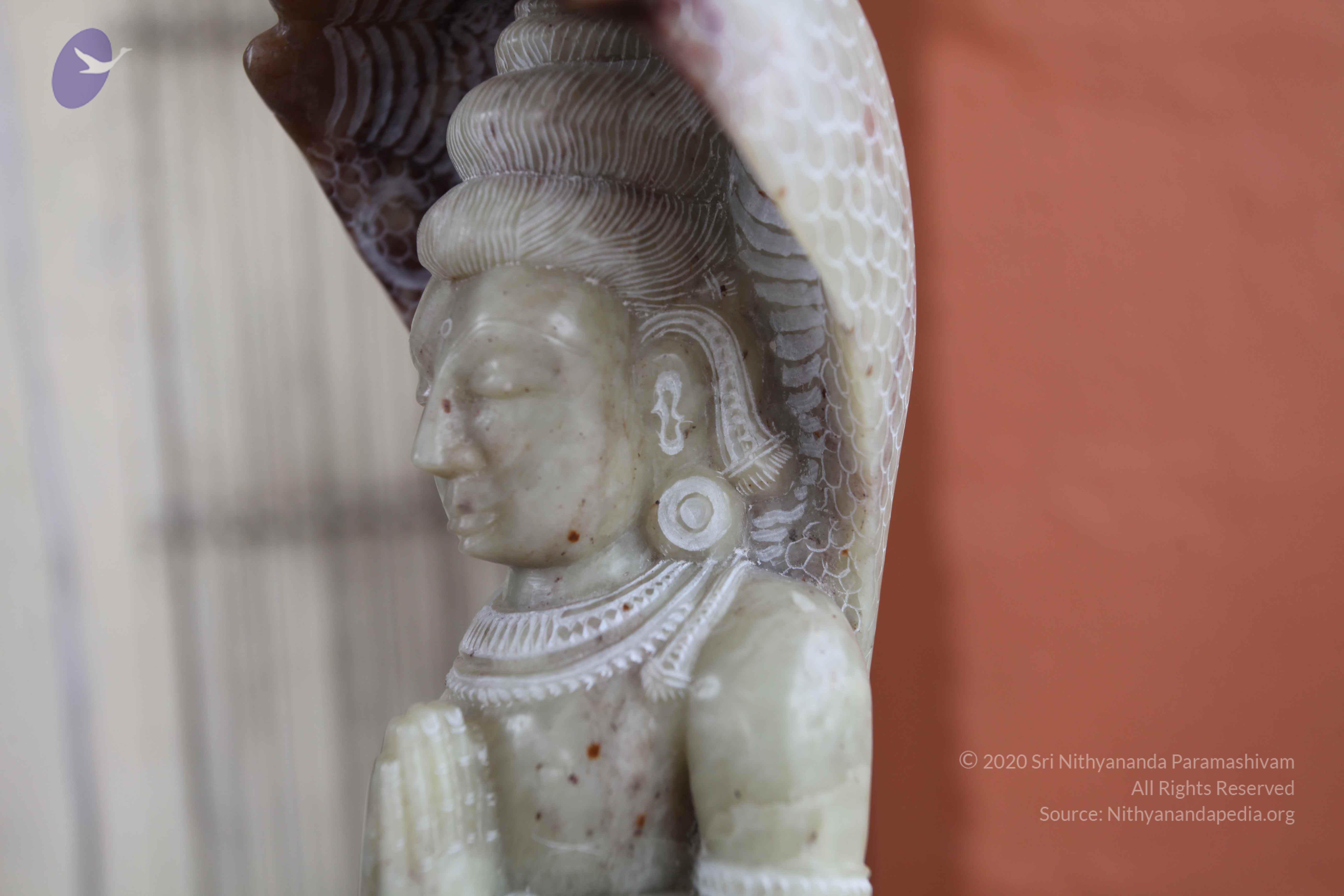 20101103_Photo_1172_IMG_9404_CMP_WM