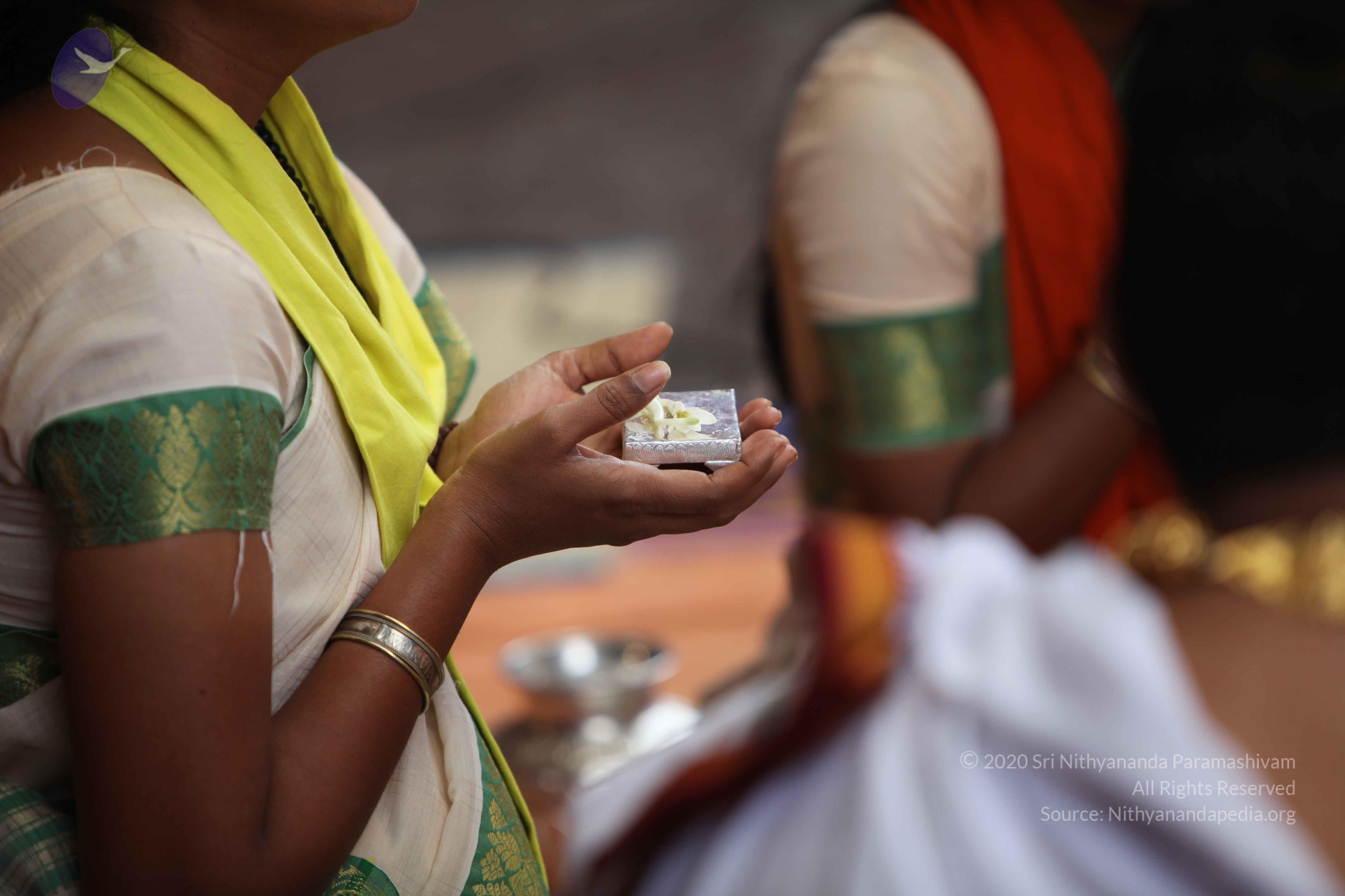 20101103_Photo_1176_IMG_9152_CMP_WM