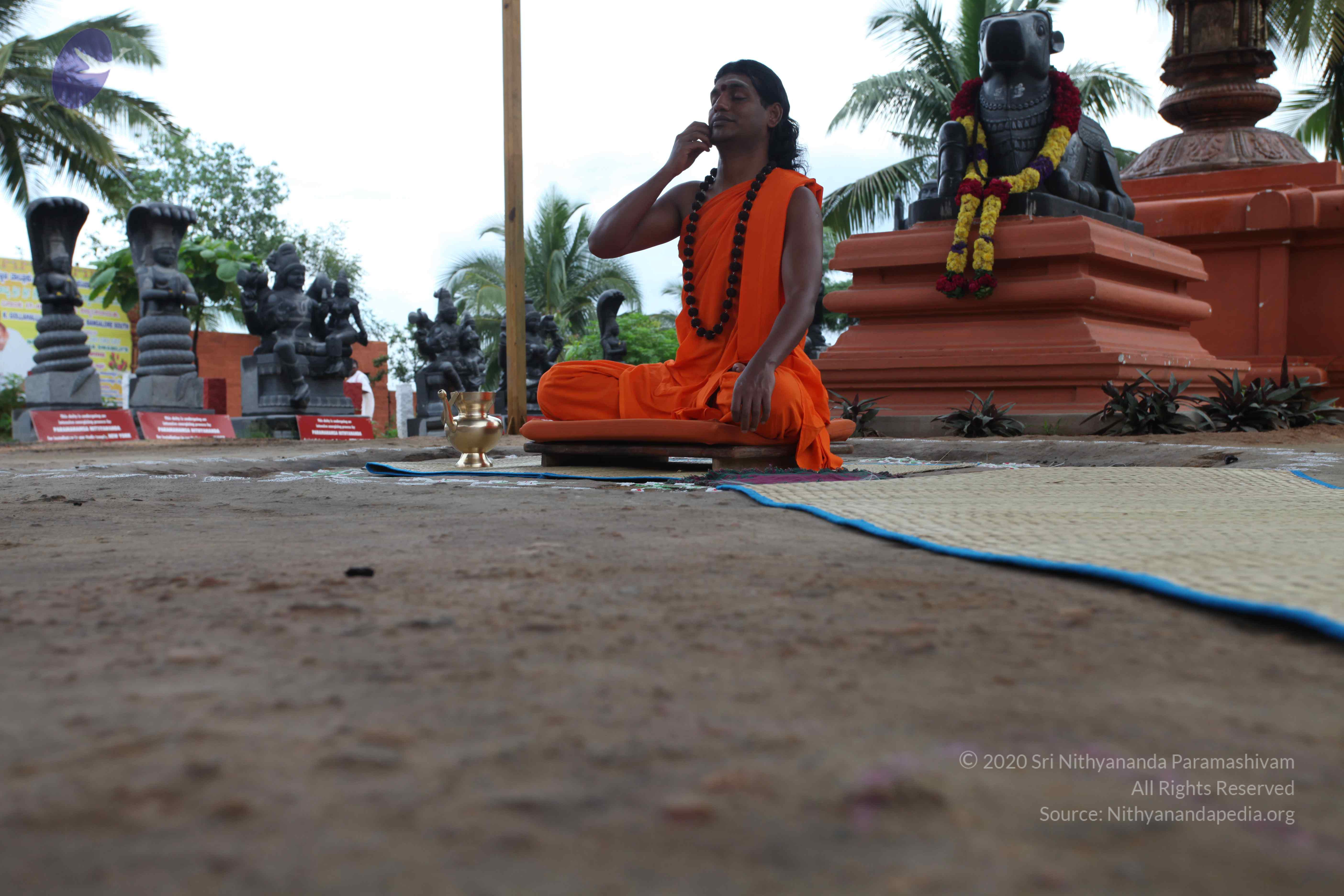 20101103_Photo_1180_IMG_9107_CMP_WM