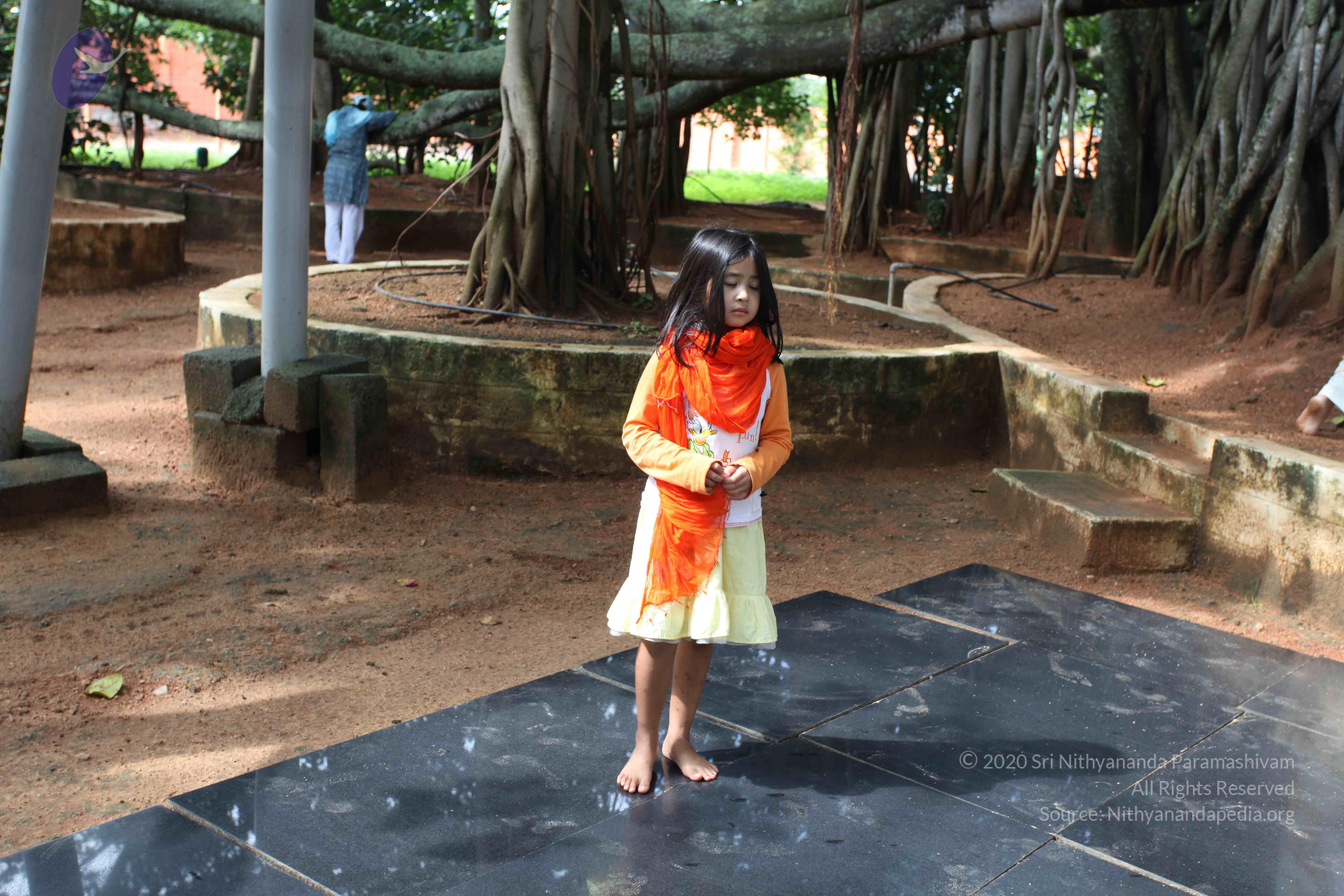 20101103_Photo_1181_IMG_9418_CMP_WM