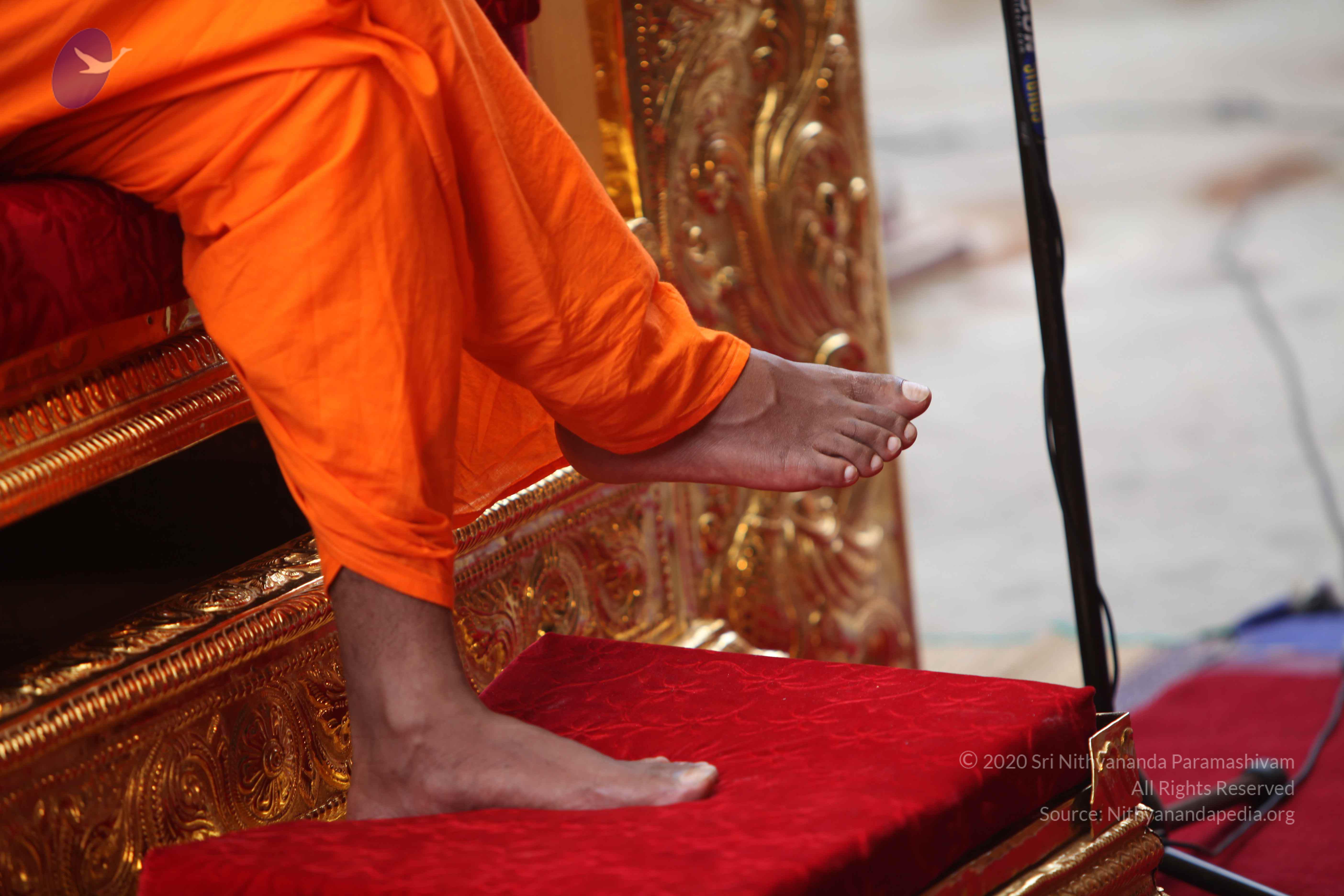 20101103_Photo_1183_IMG_9336_CMP_WM