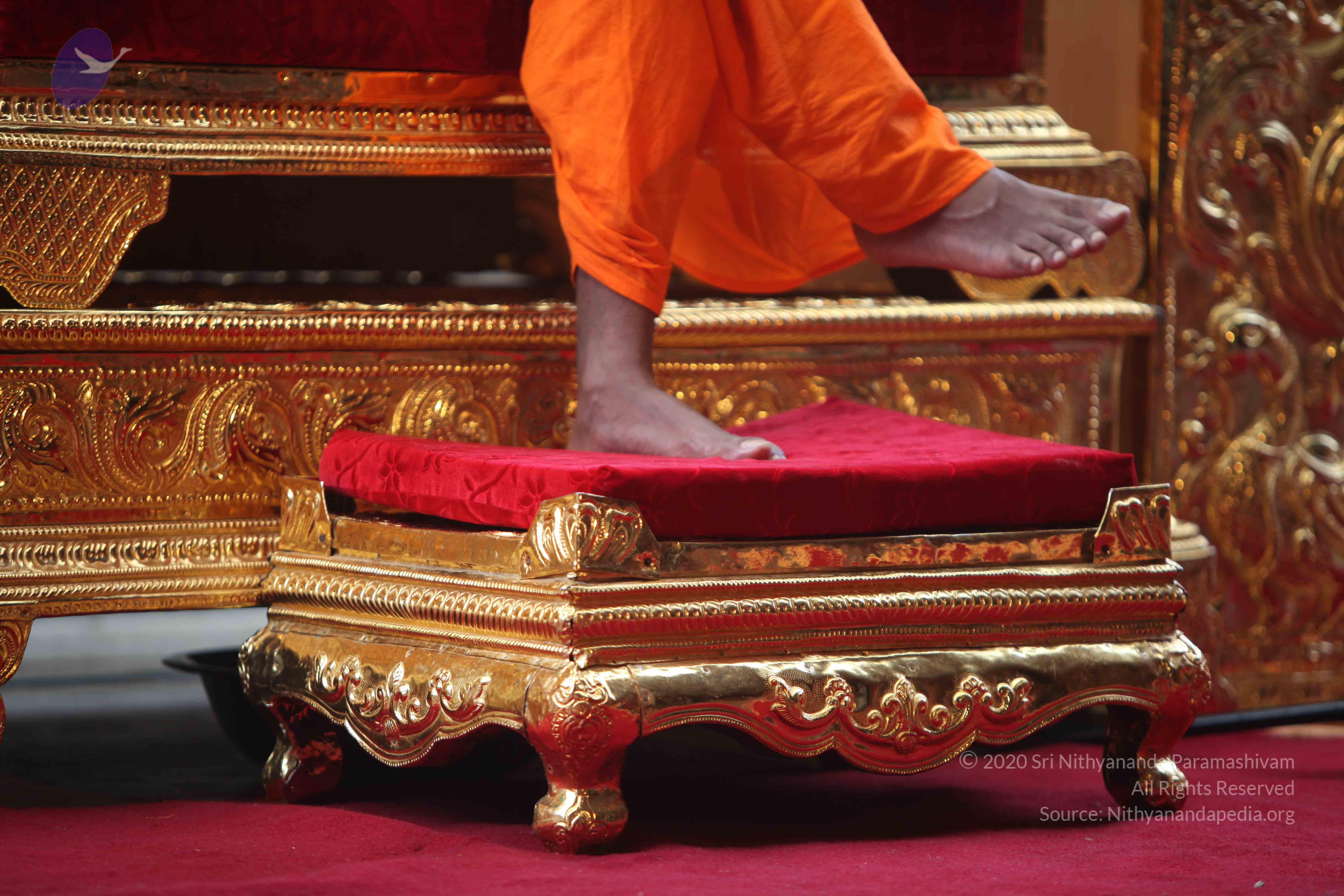 20101103_Photo_1193_IMG_9288_CMP_WM