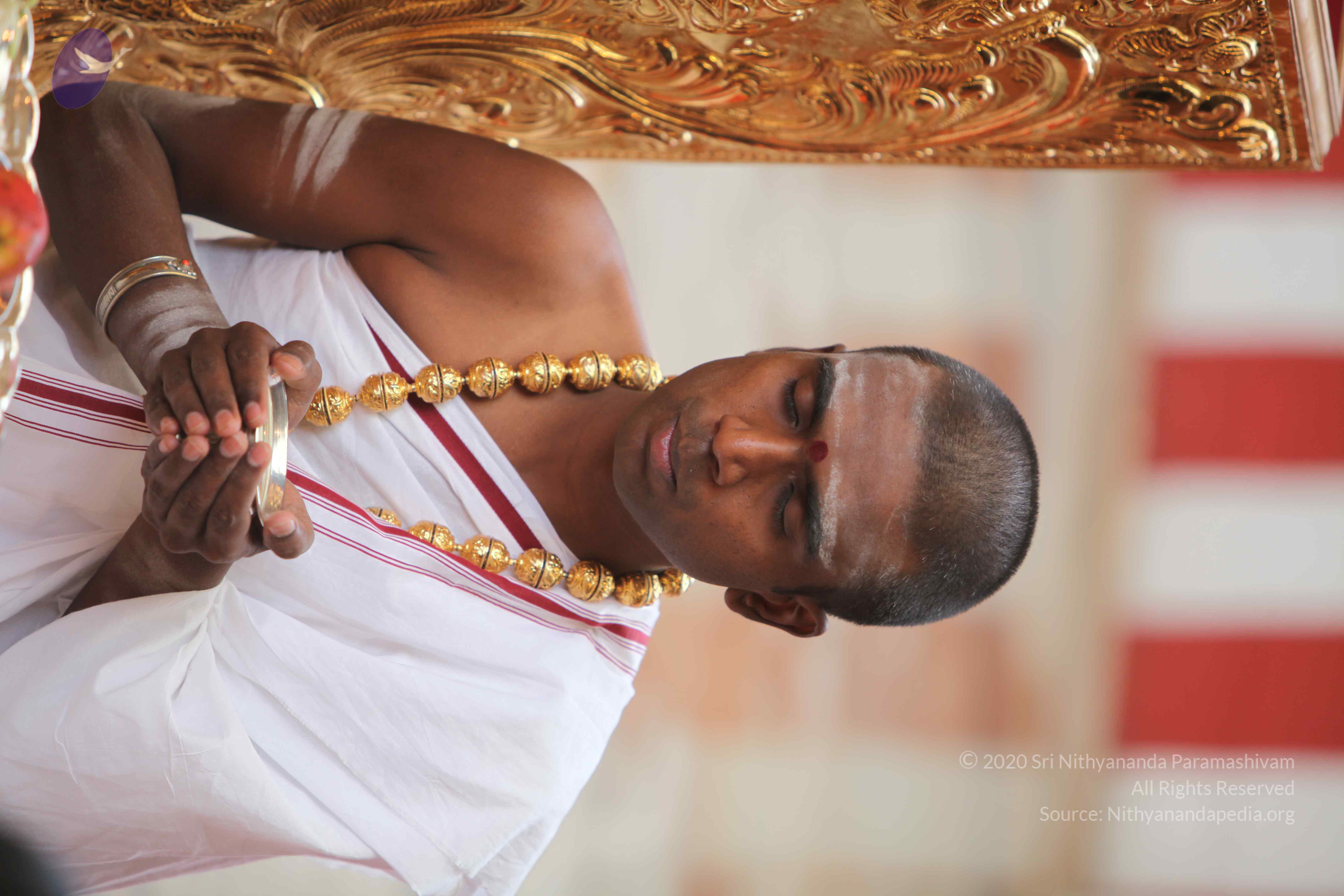 20101103_Photo_1195_IMG_9183_CMP_WM