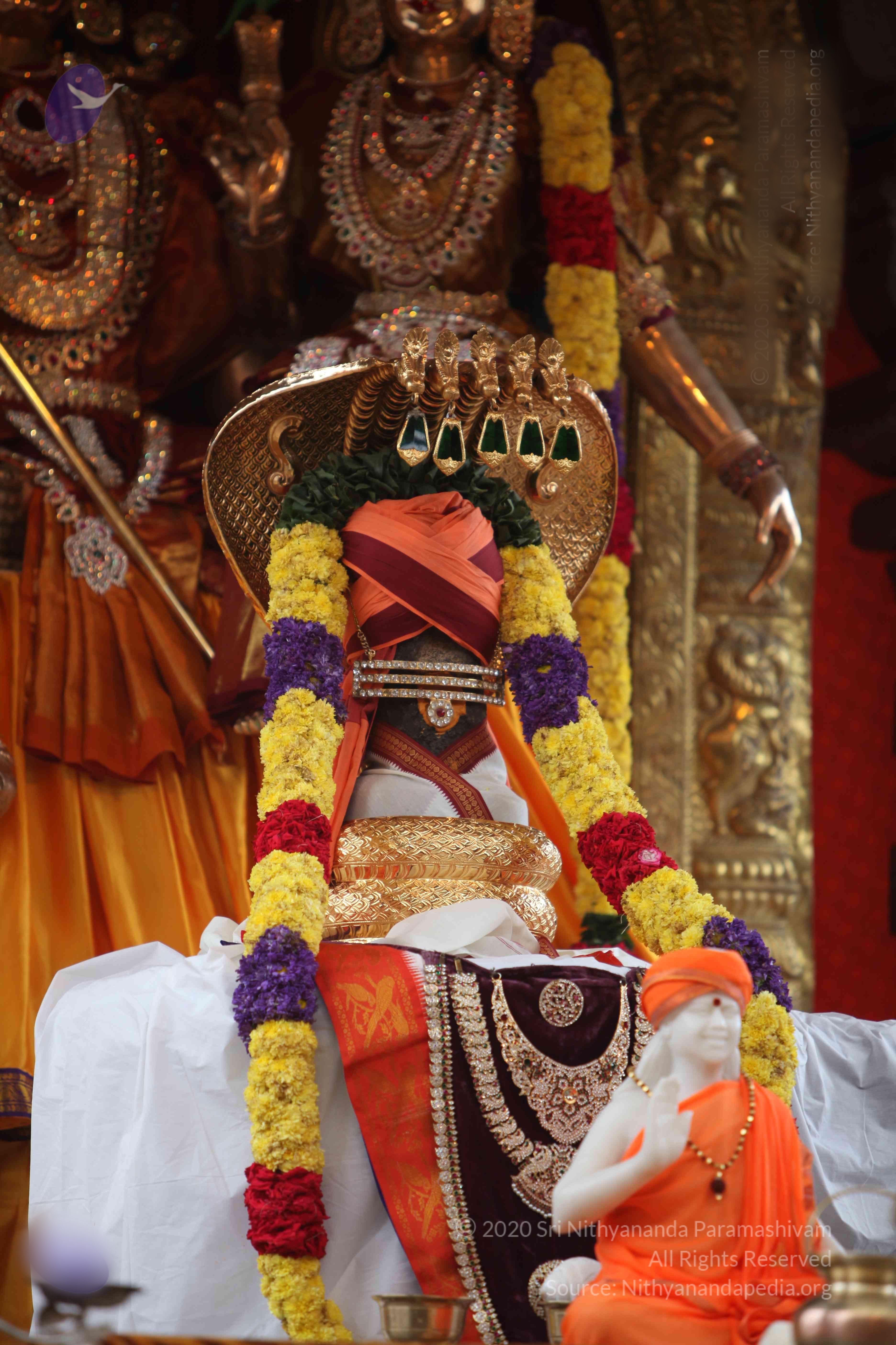 20101103_Photo_1203_IMG_9285_CMP_WM