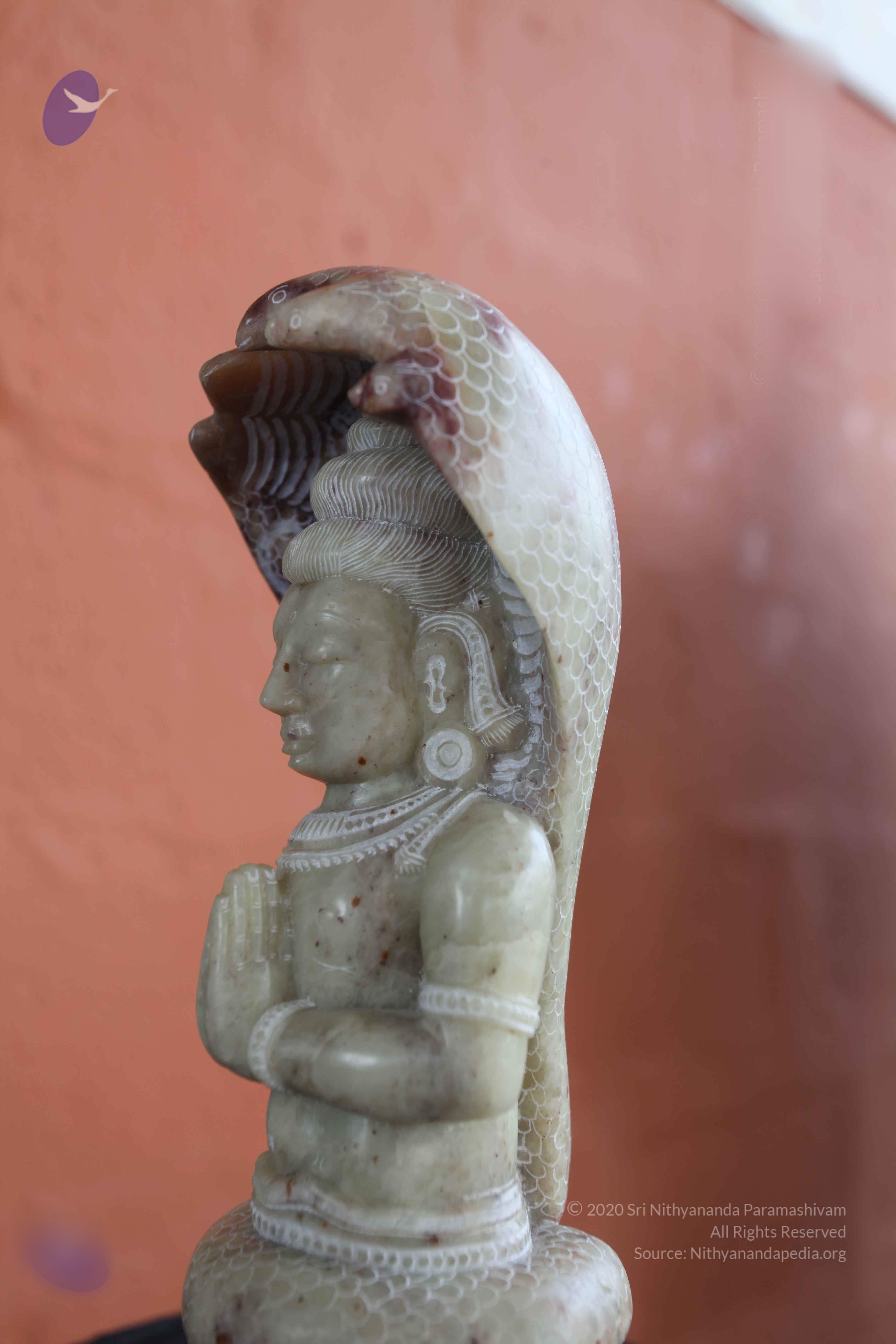 20101103_Photo_1204_IMG_9391_CMP_WM