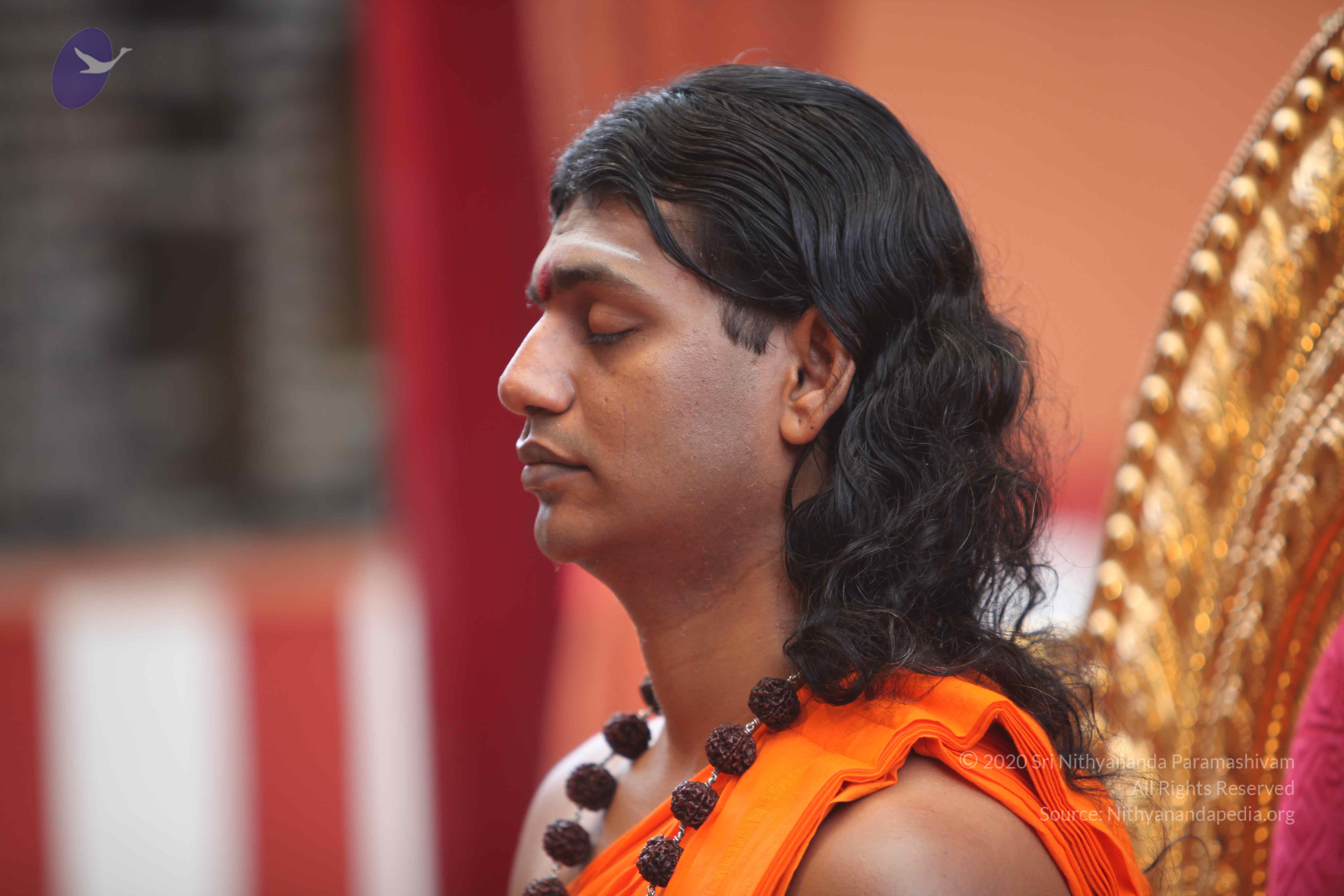 20101103_Photo_1208_IMG_9146_CMP_WM