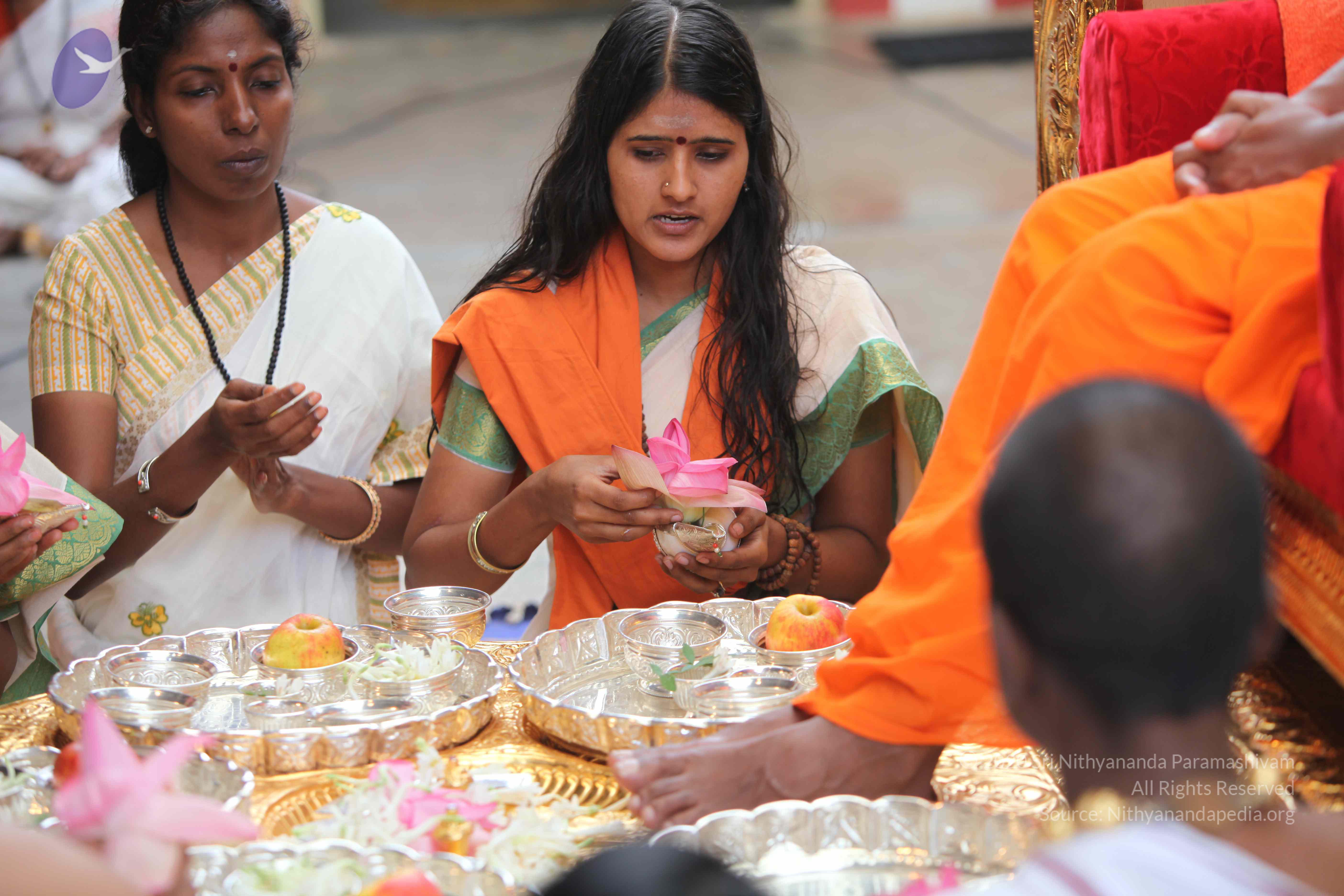 20101103_Photo_1209_IMG_9171_CMP_WM