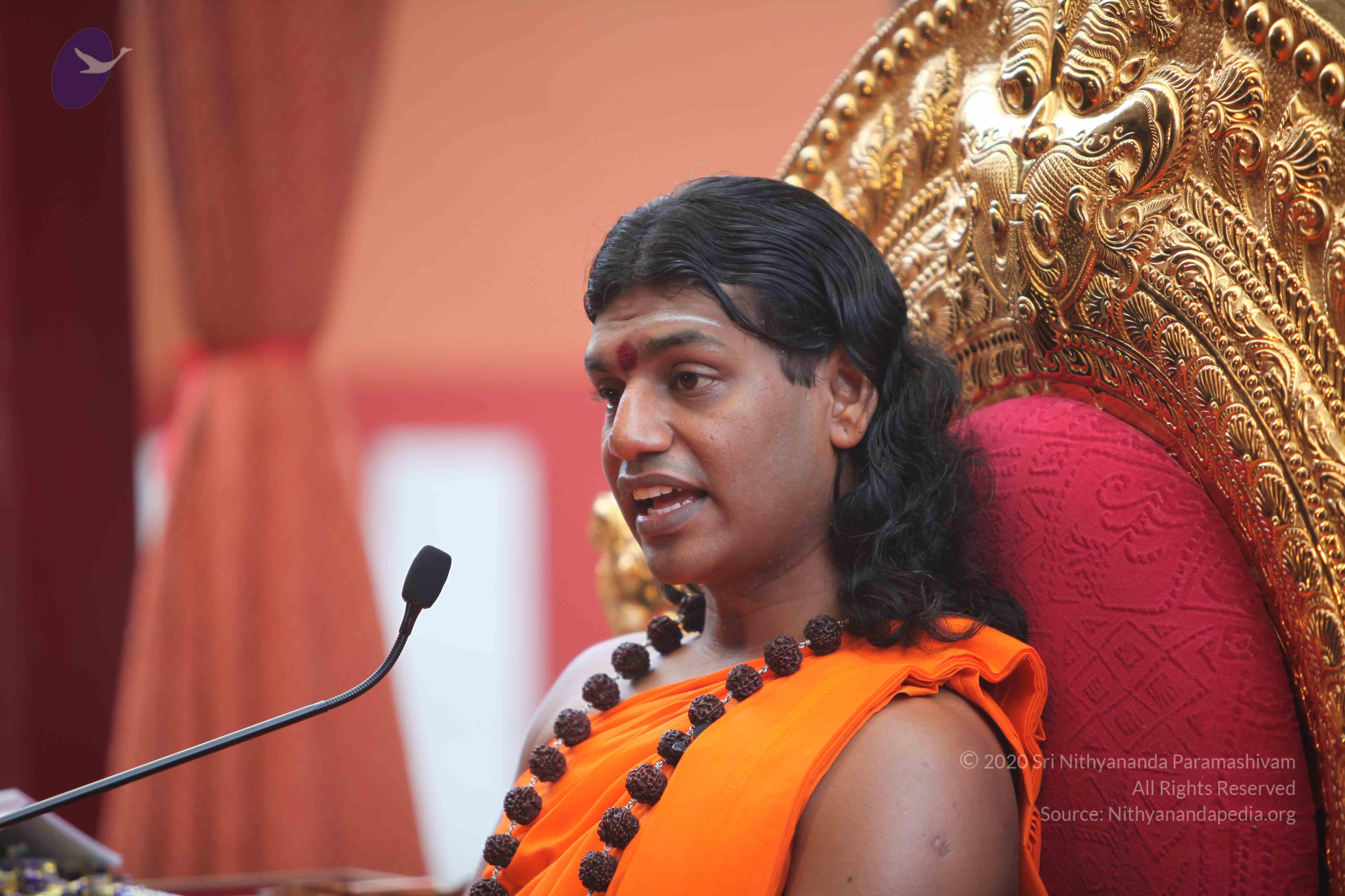 20101103_Photo_1213_IMG_9266_CMP_WM