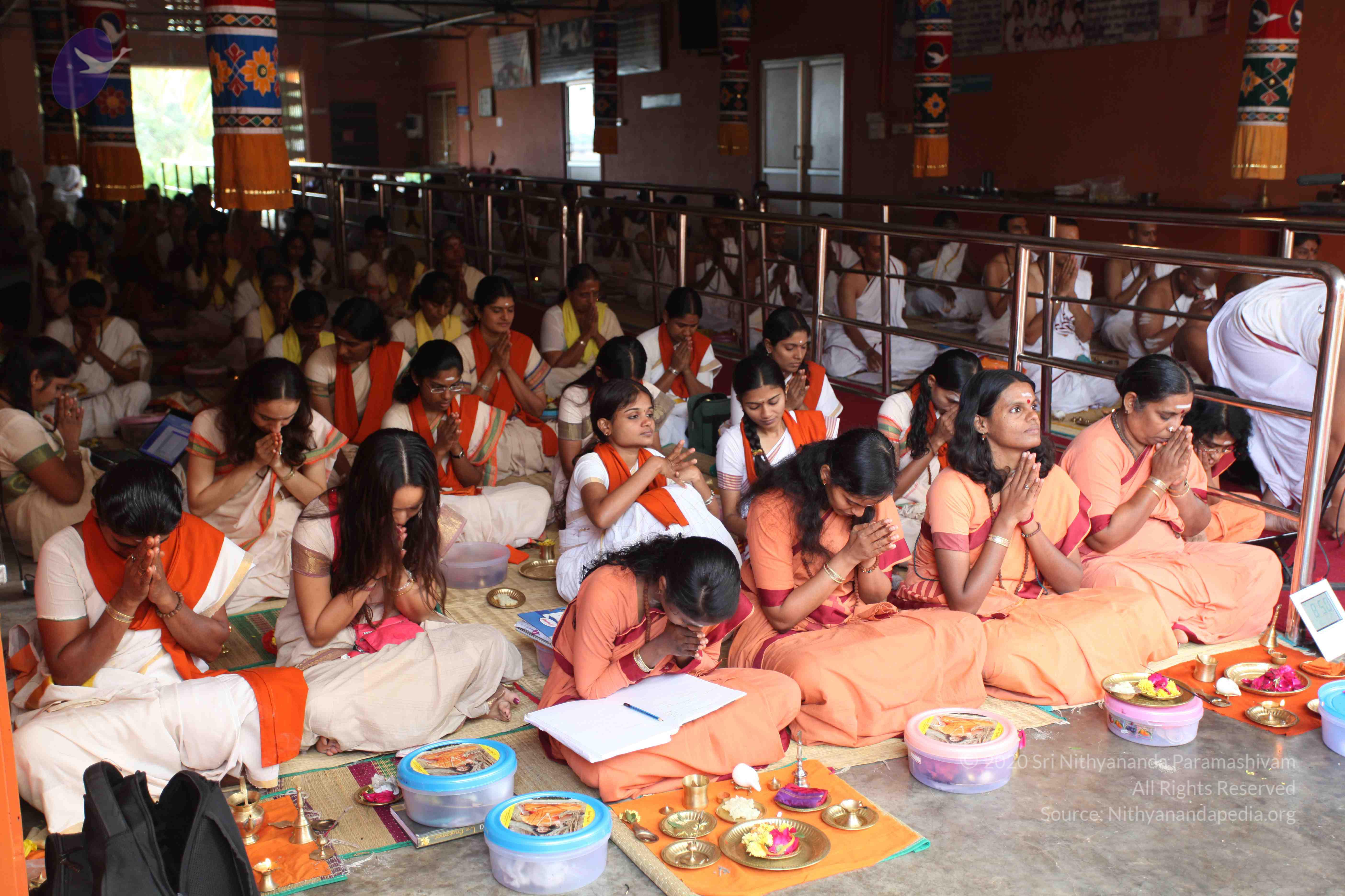 20101103_Photo_1214_IMG_9251_CMP_WM