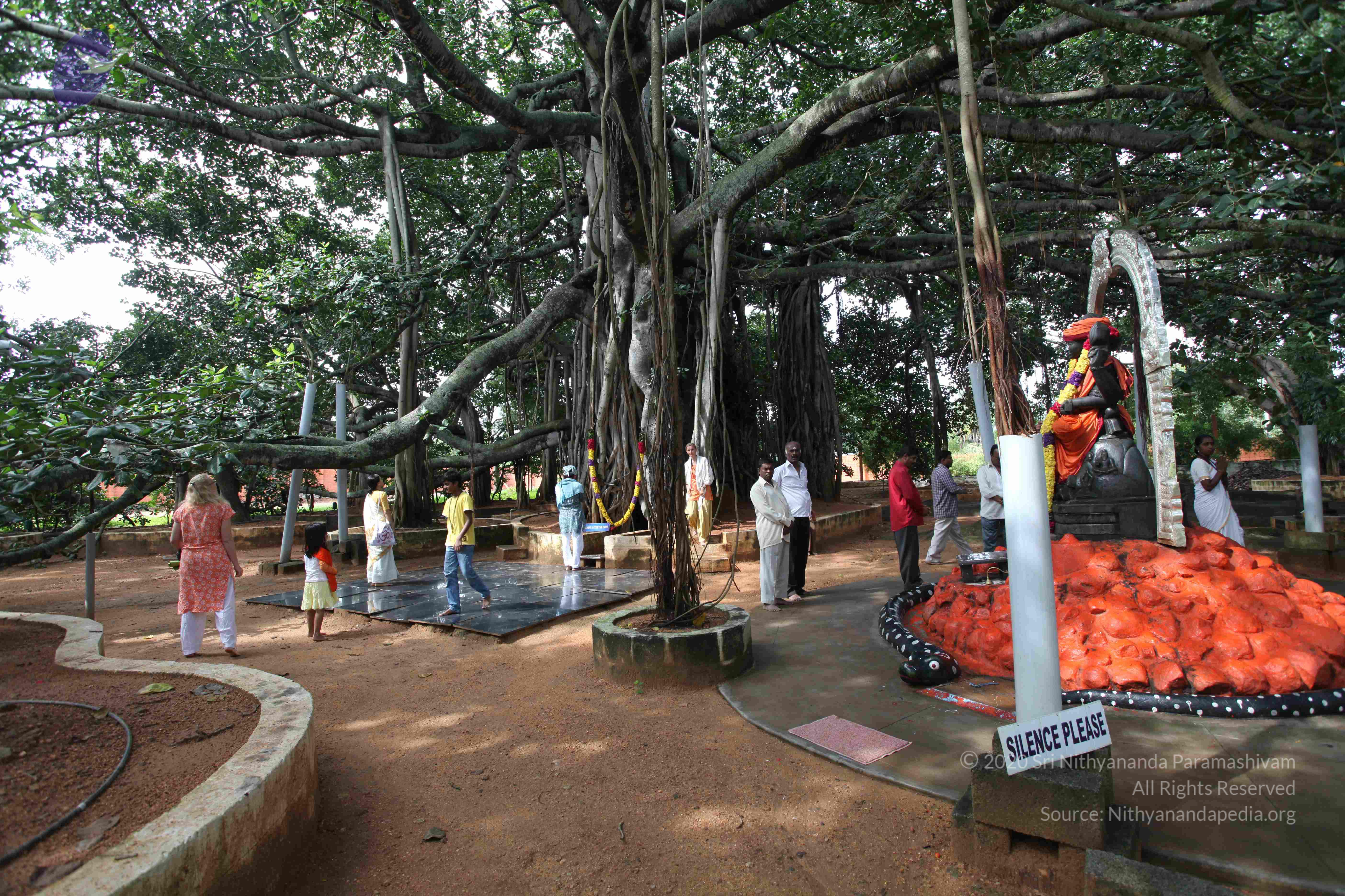 20101103_Photo_1215_IMG_9410_CMP_WM