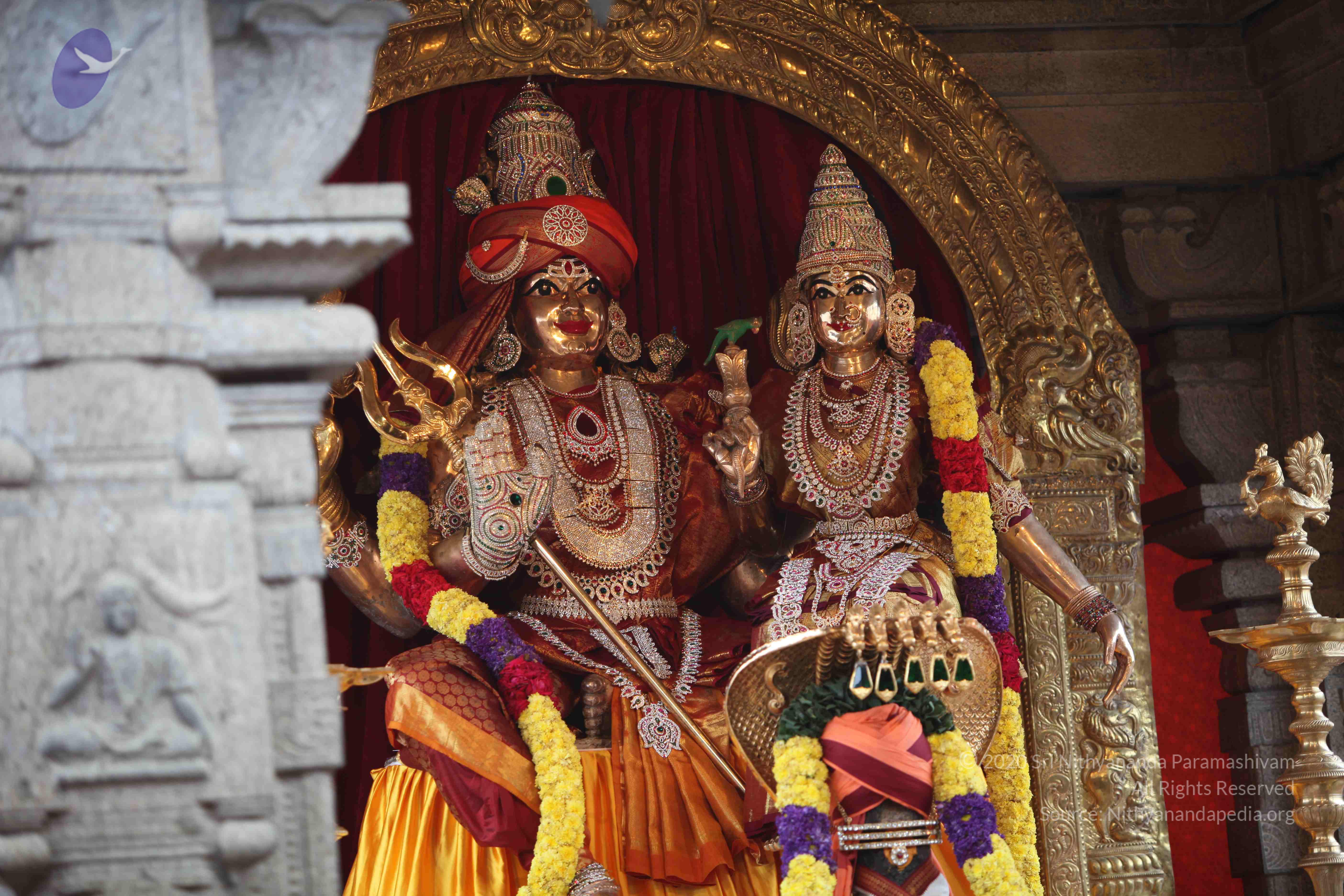 20101103_Photo_1219_IMG_9204_CMP_WM