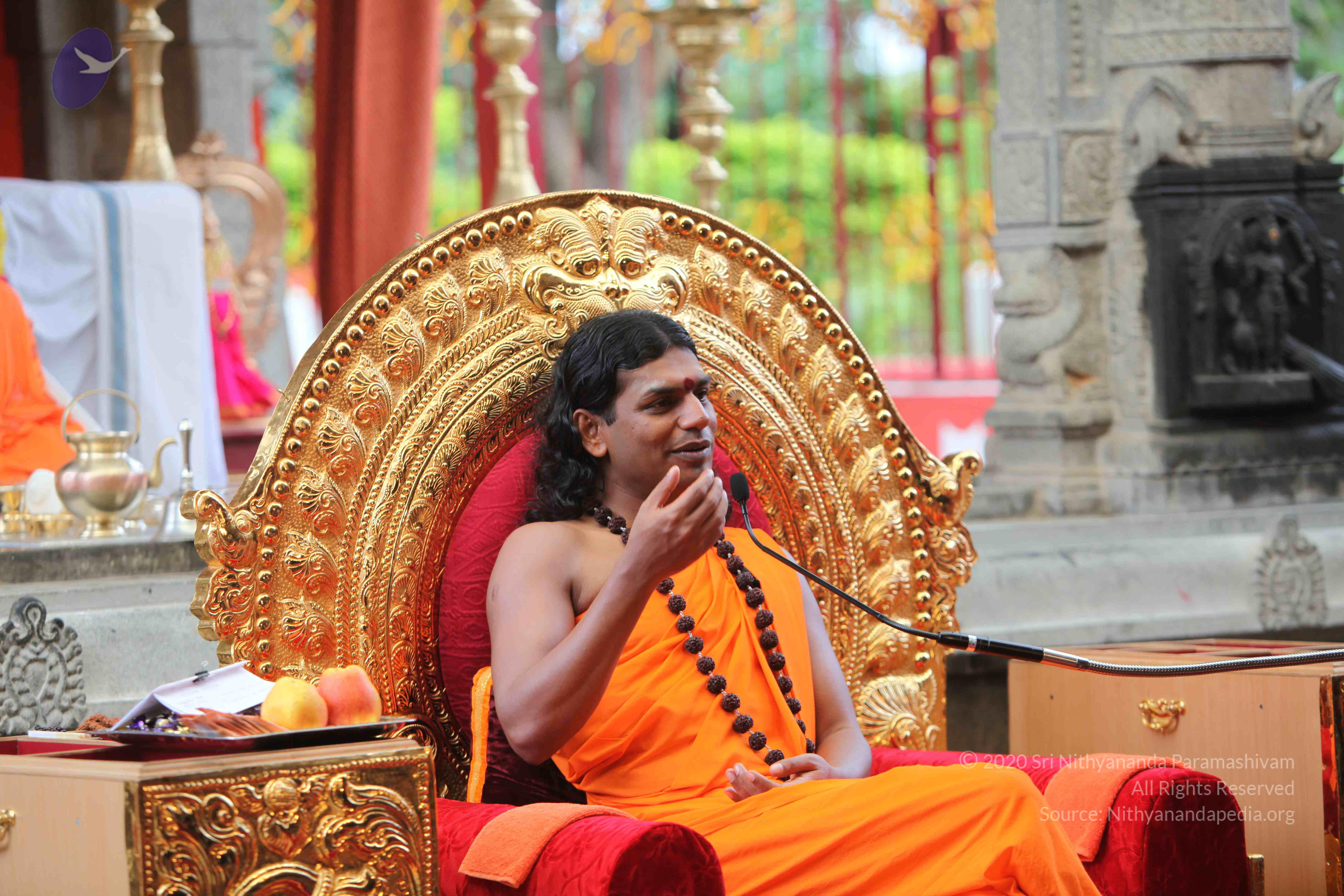 20101103_Photo_1222_IMG_9327_CMP_WM