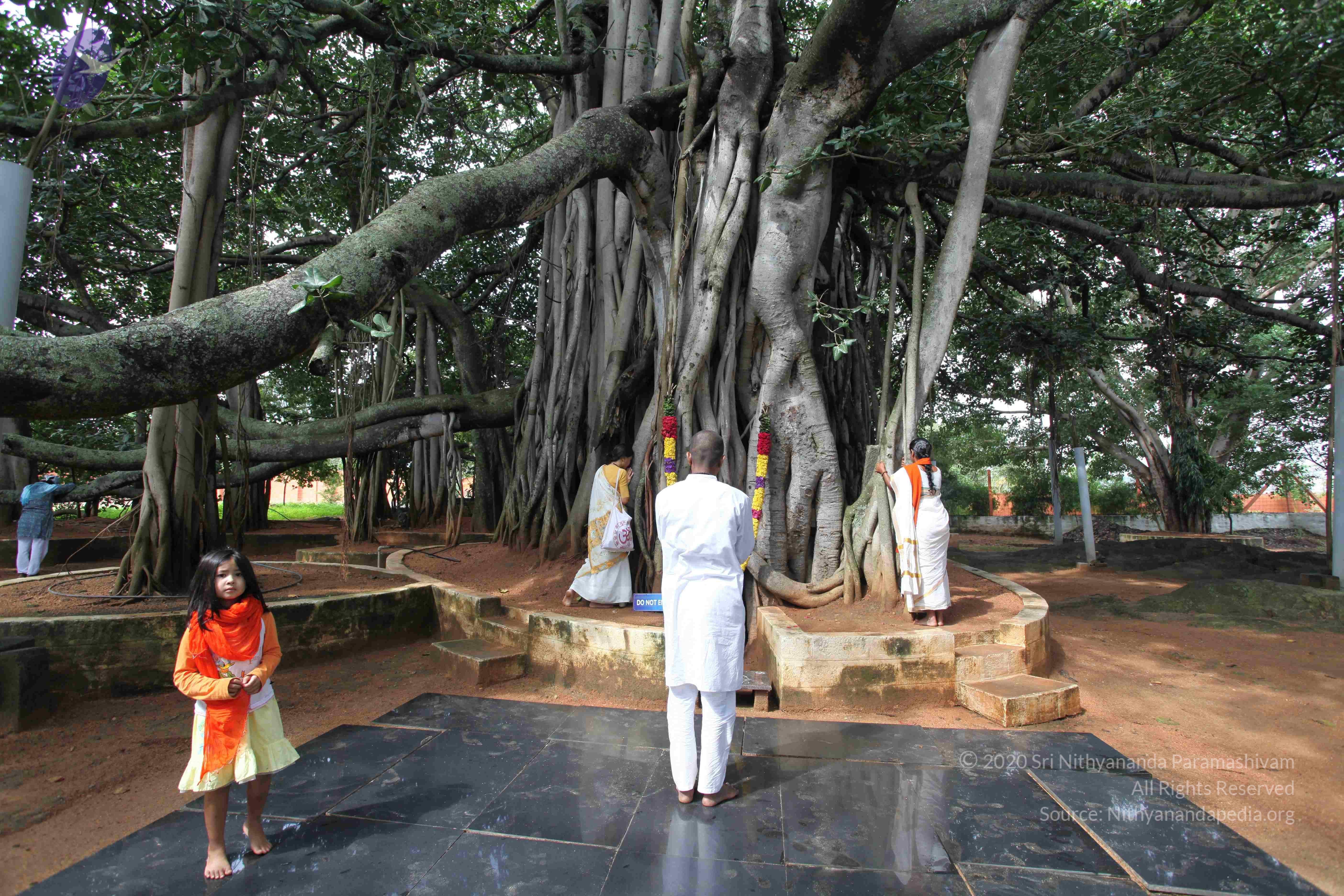 20101103_Photo_1224_IMG_9417_CMP_WM