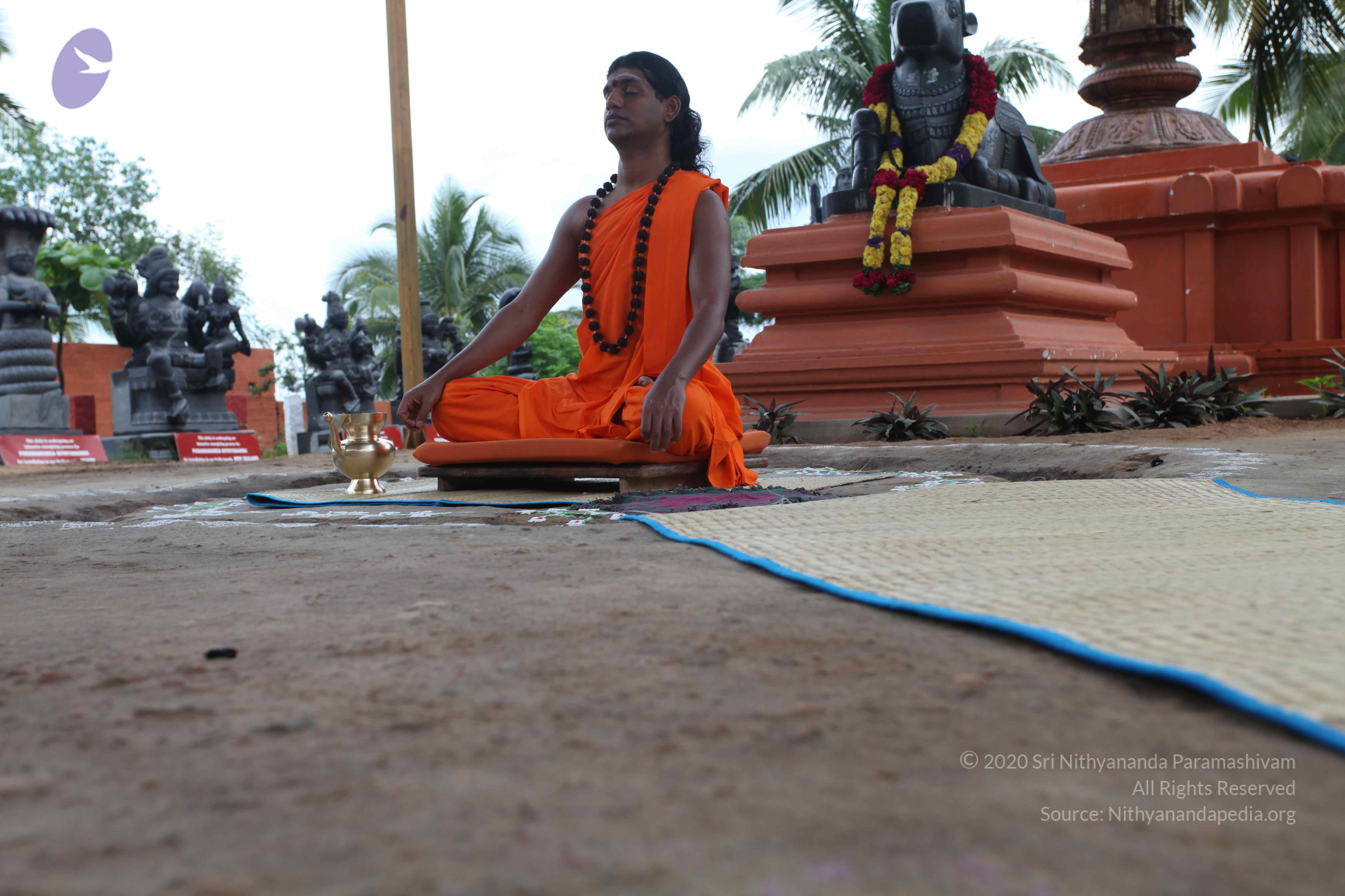 20101103_Photo_1225_IMG_9108_CMP_WM