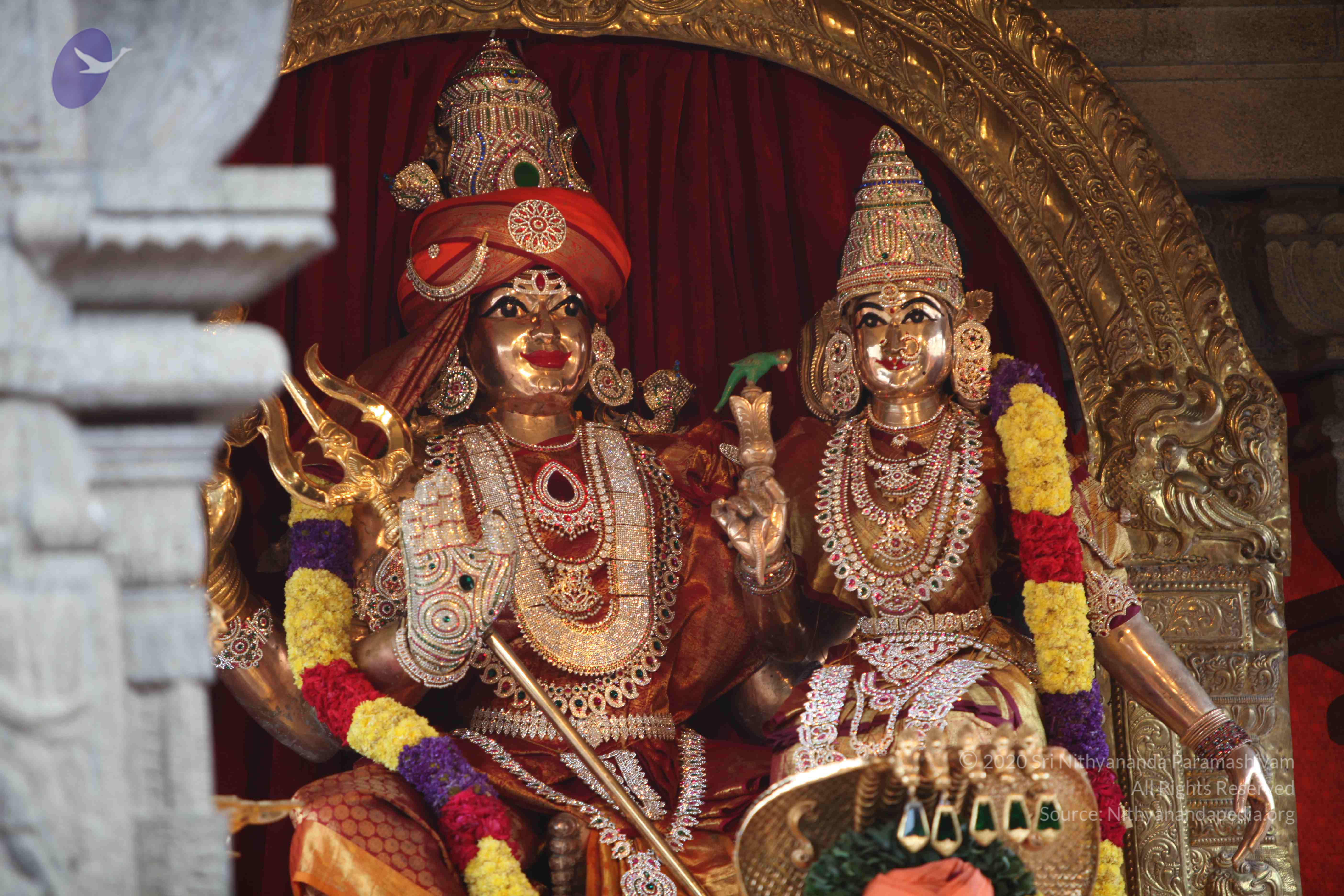 20101103_Photo_1232_IMG_9203_CMP_WM