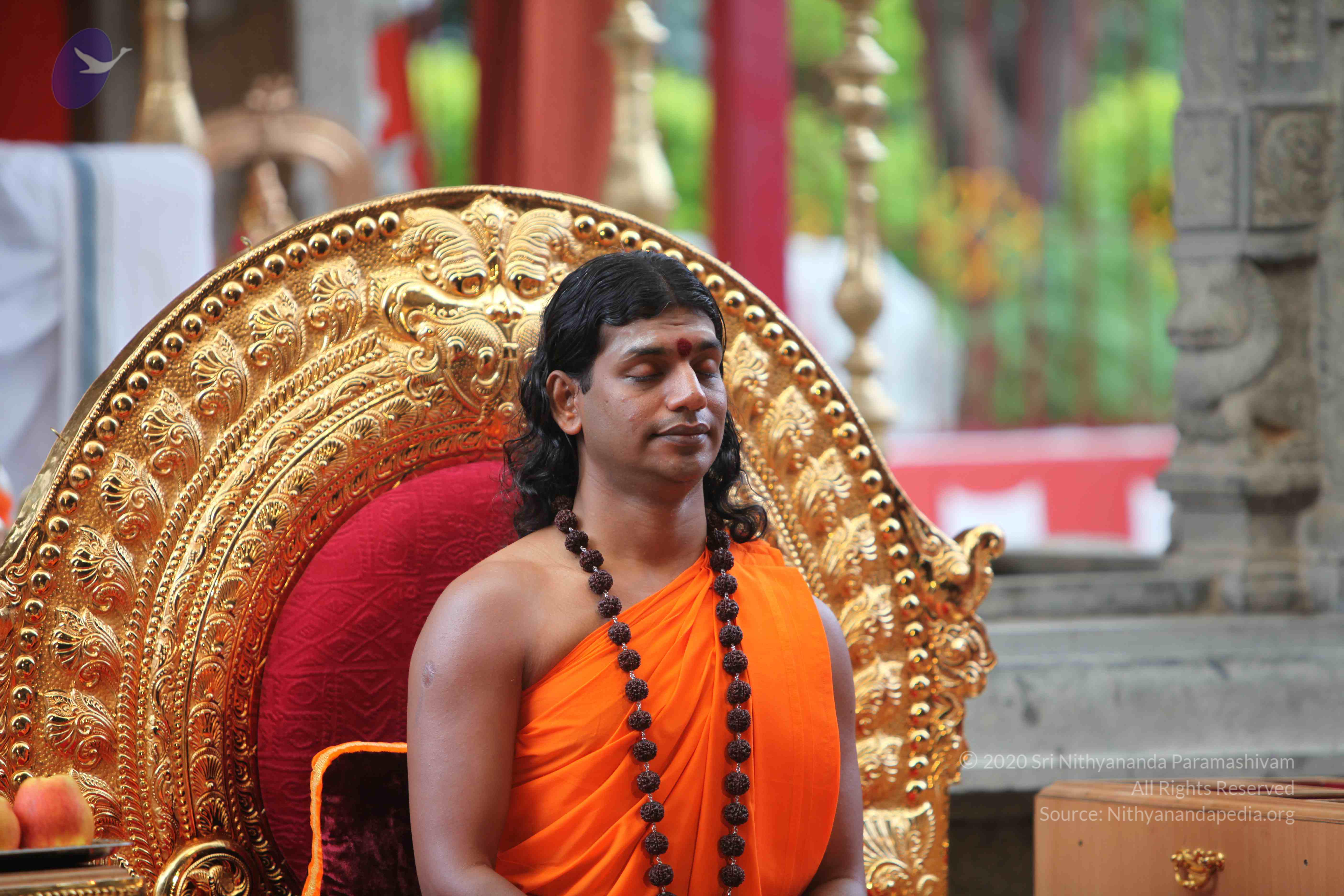 20101103_Photo_1234_IMG_9195_CMP_WM