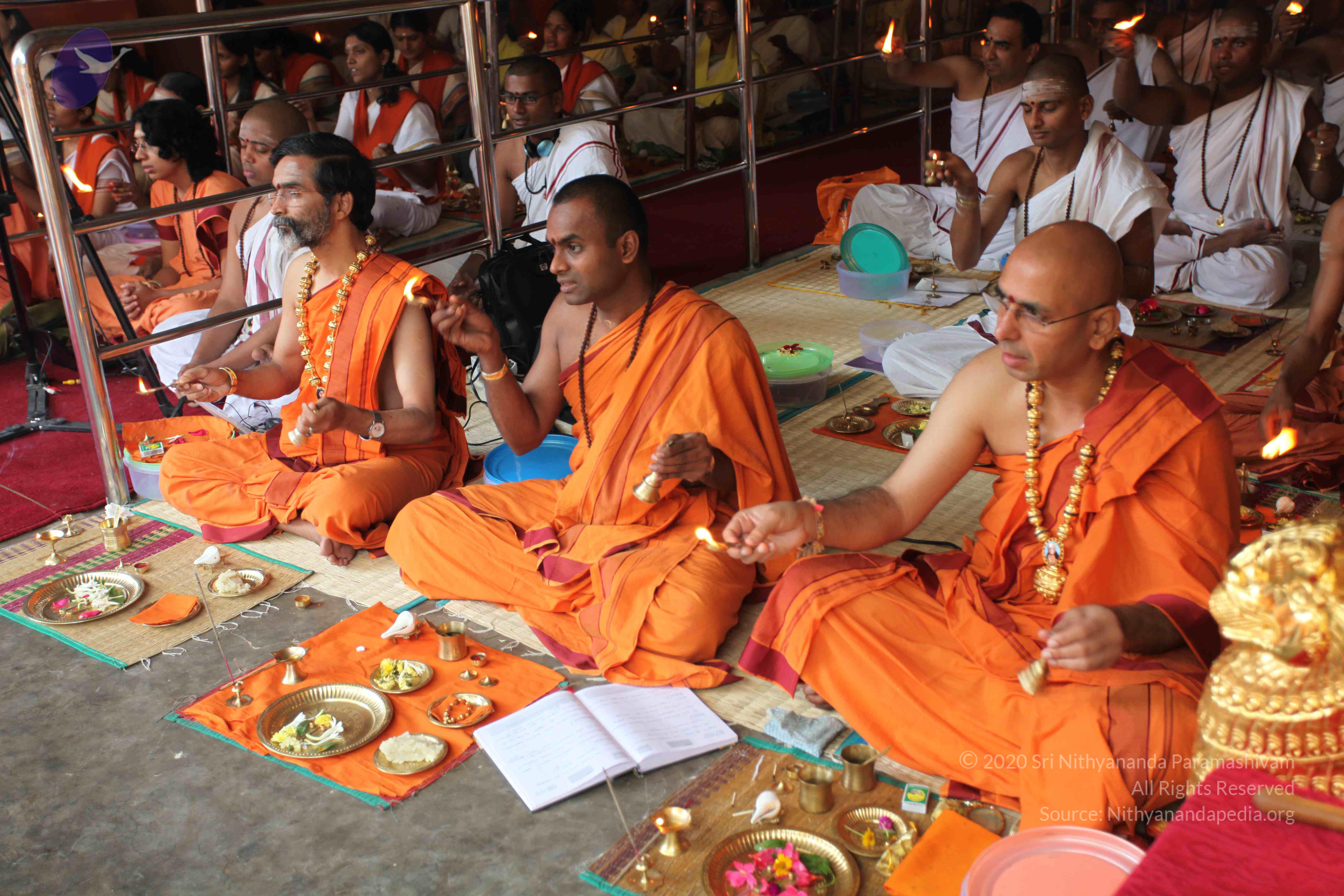 20101103_Photo_1238_IMG_9228_CMP_WM