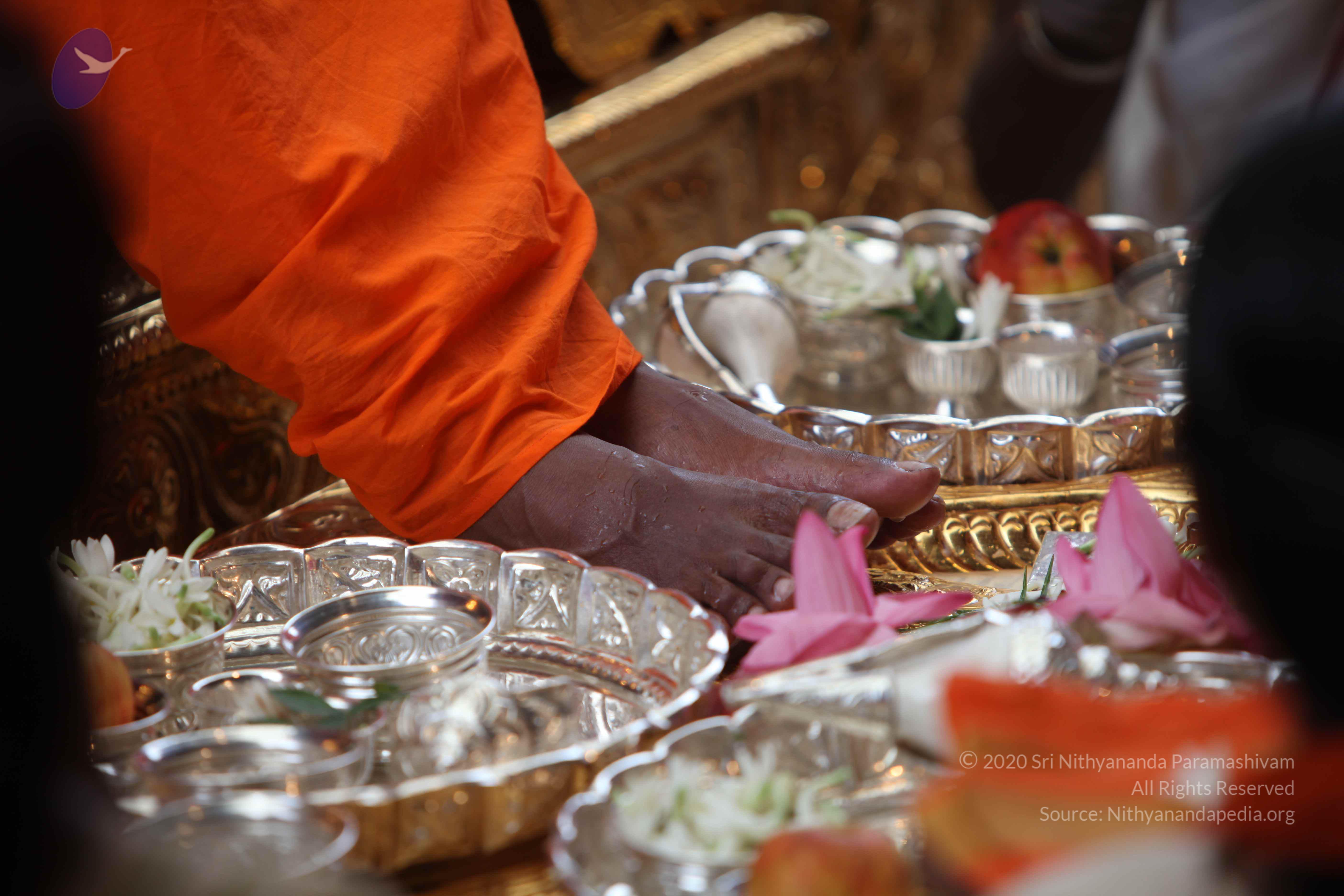 20101103_Photo_1241_IMG_9189_CMP_WM