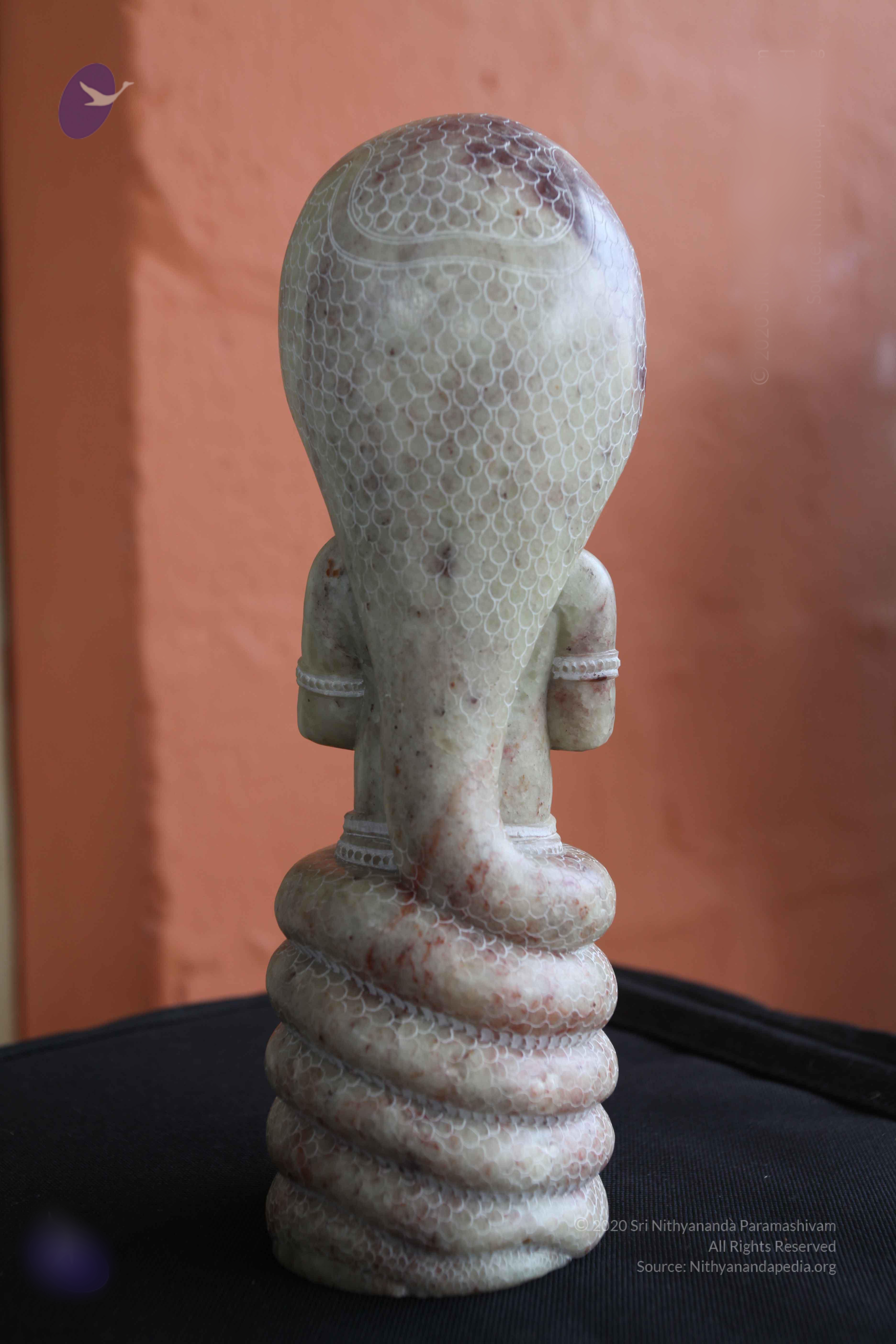 20101103_Photo_1242_IMG_9396_CMP_WM