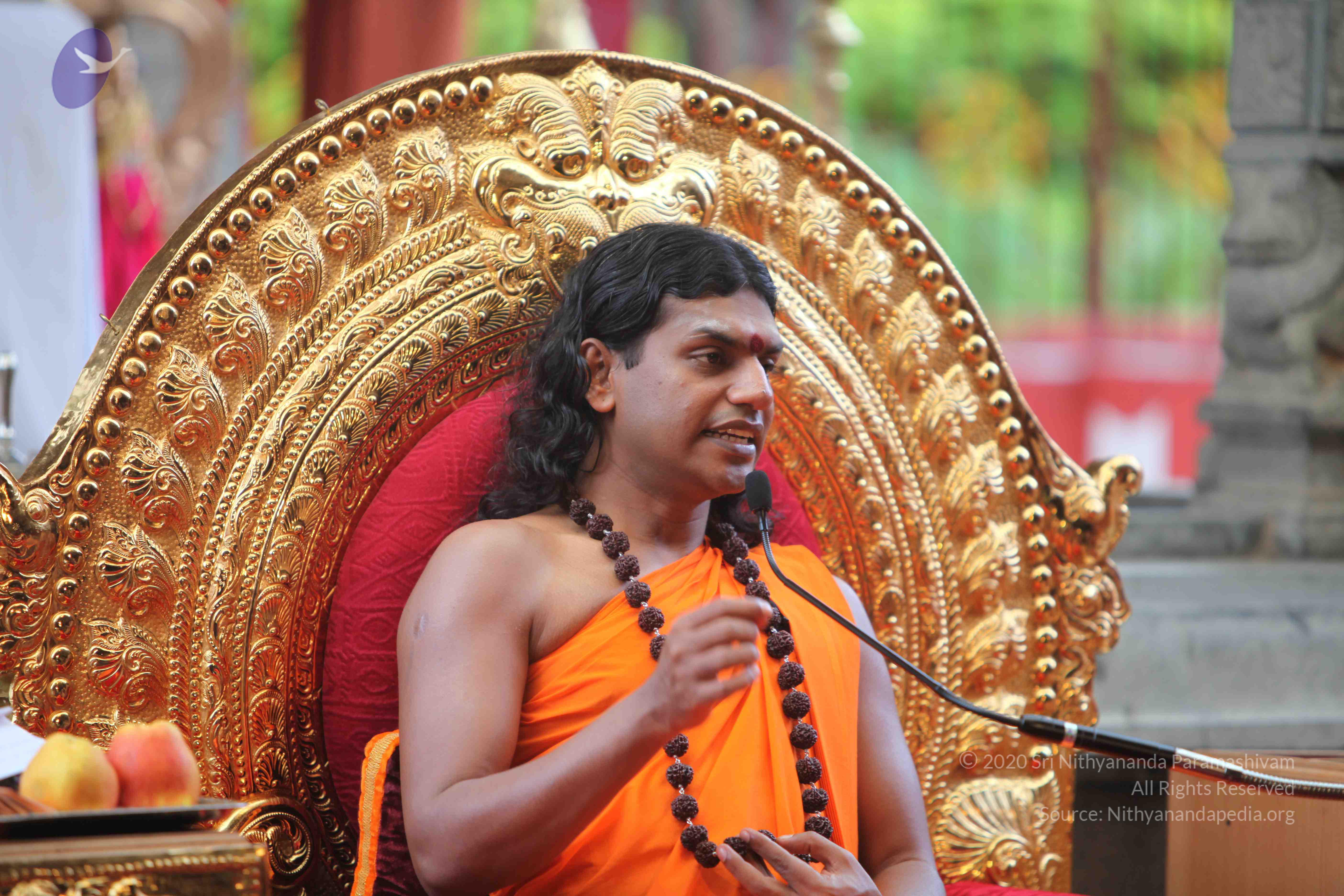 20101103_Photo_1243_IMG_9282_CMP_WM