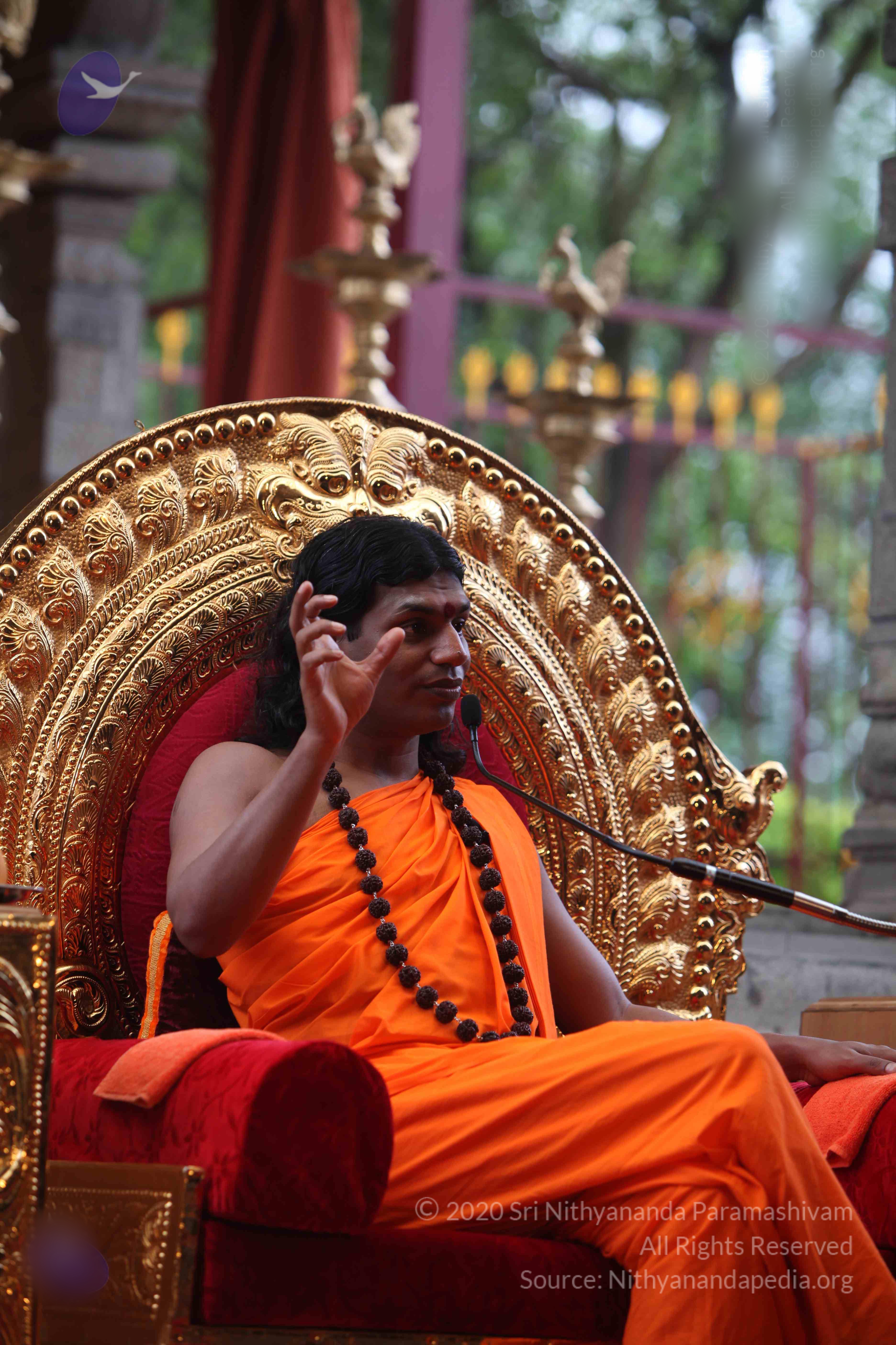 20101103_Photo_1244_IMG_9293_CMP_WM