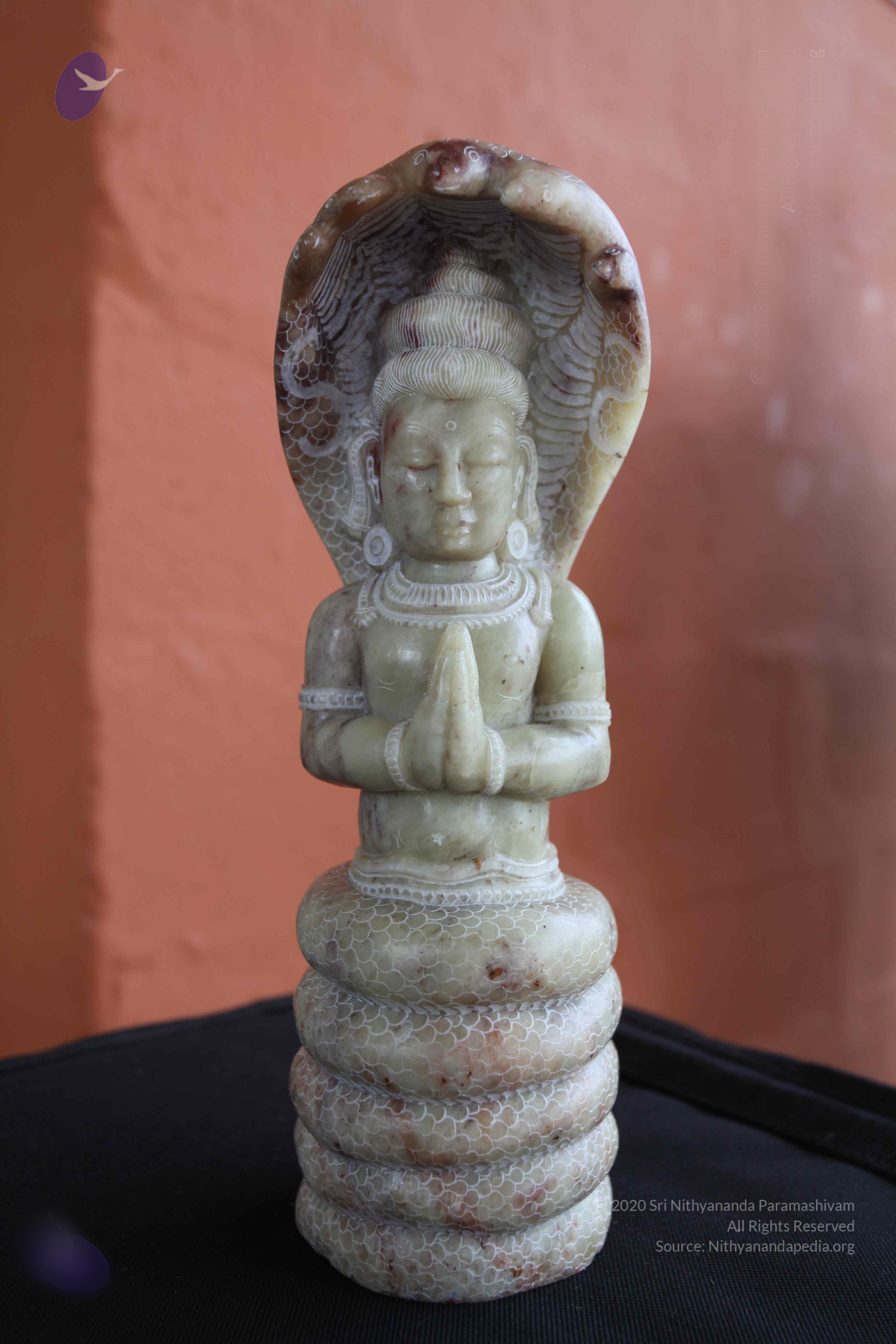 20101103_Photo_1245_IMG_9387_CMP_WM