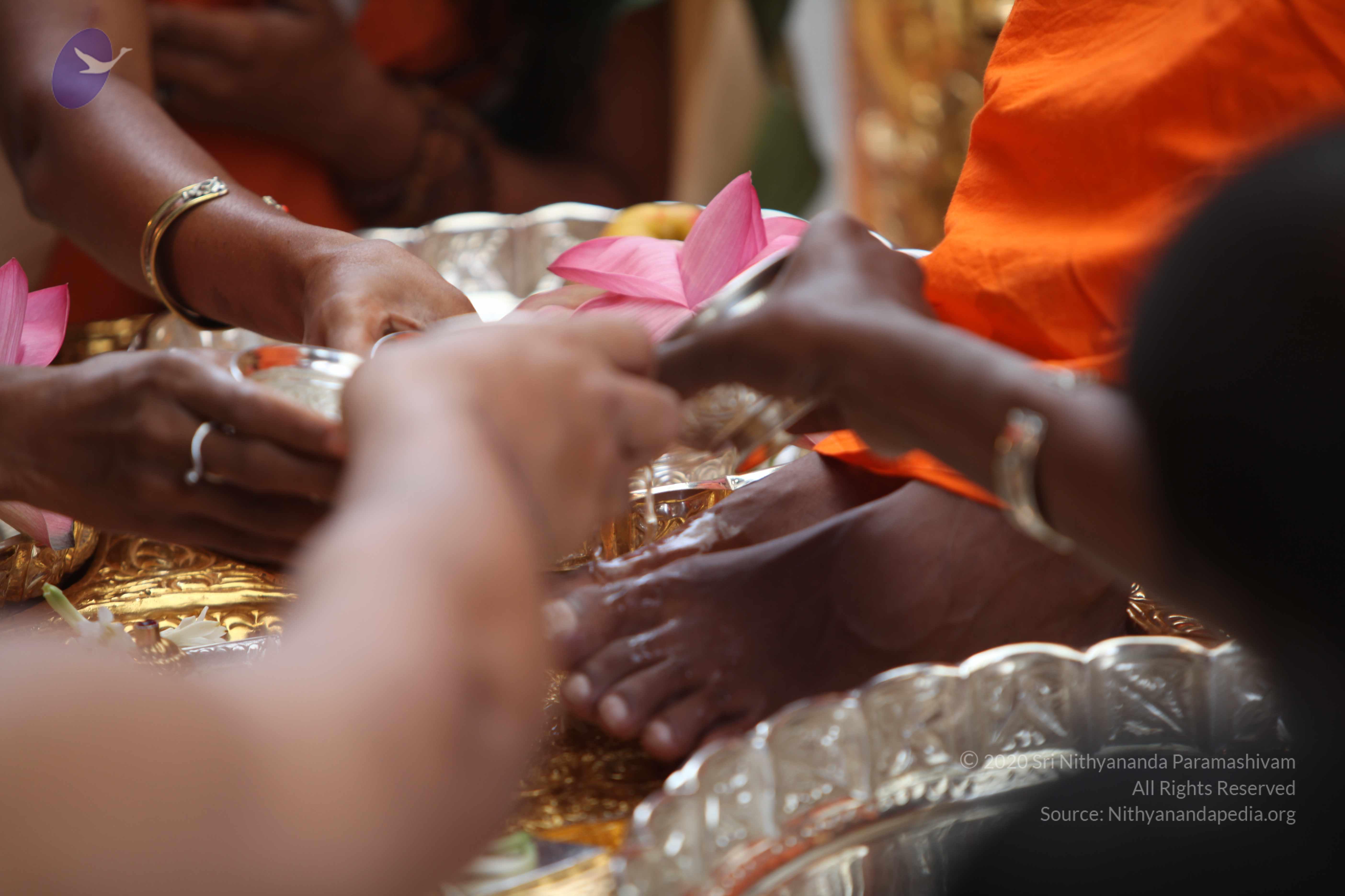 20101103_Photo_1247_IMG_9167_CMP_WM