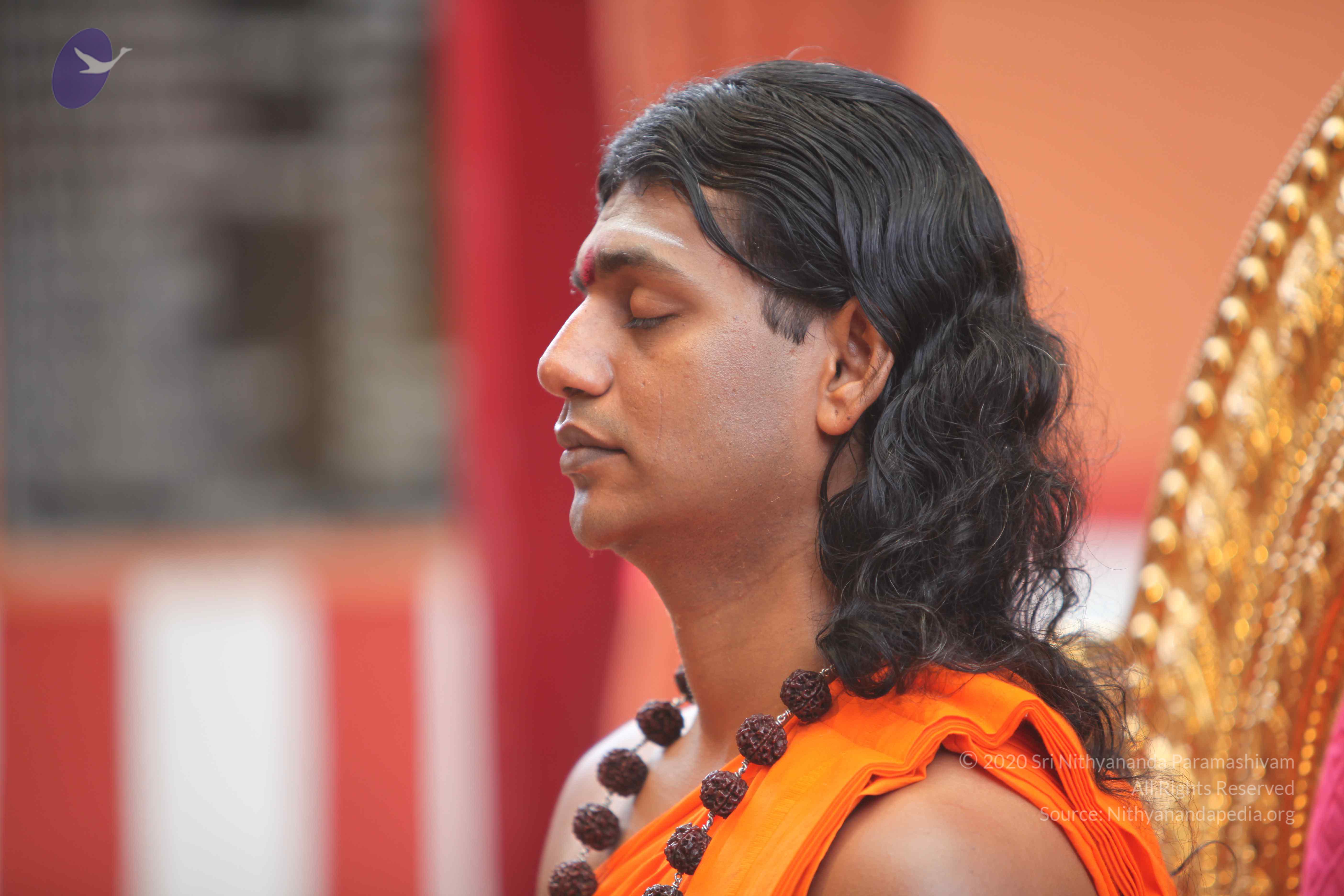 20101103_Photo_1248_IMG_9150_CMP_WM