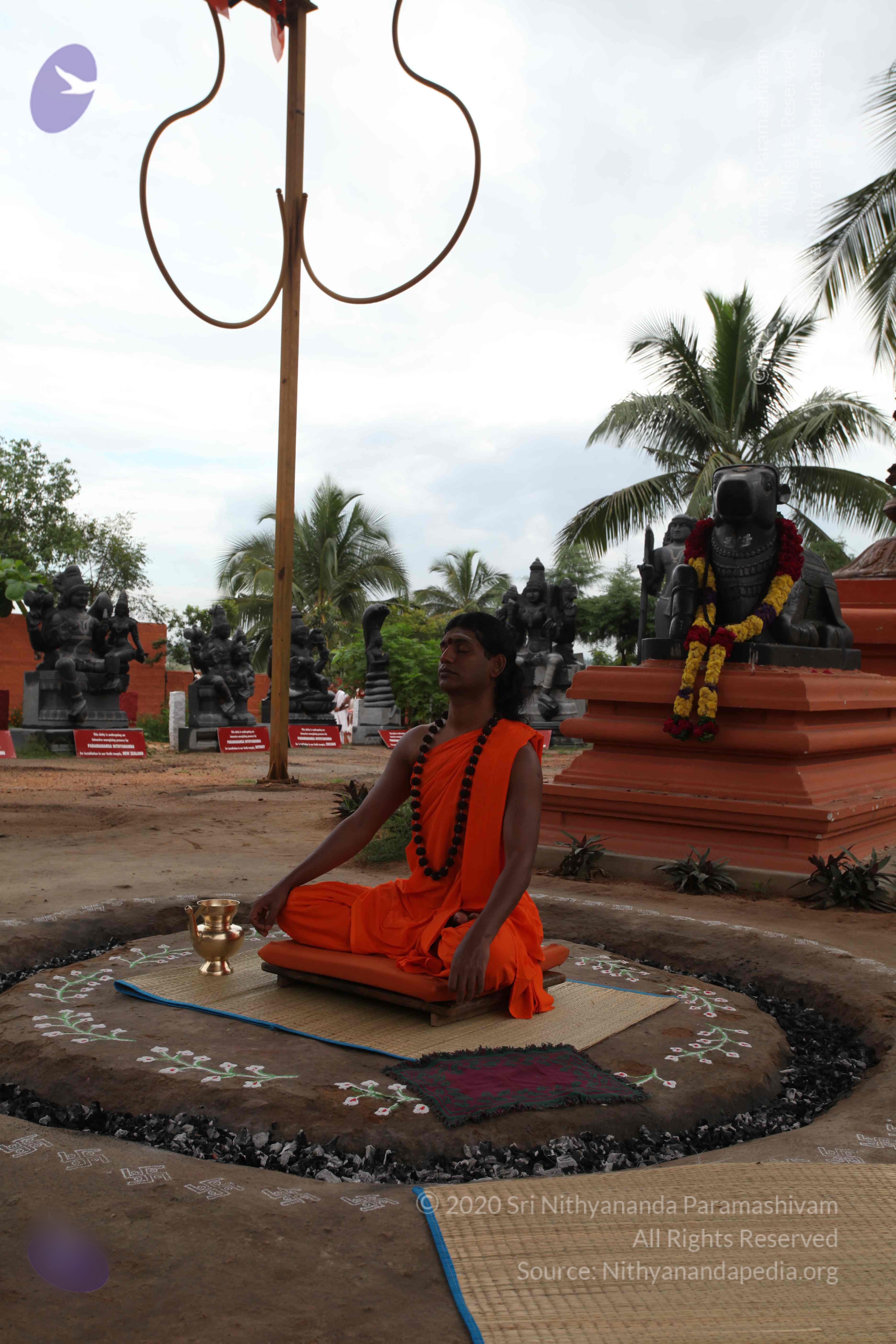 20101103_Photo_1251_IMG_9105_CMP_WM