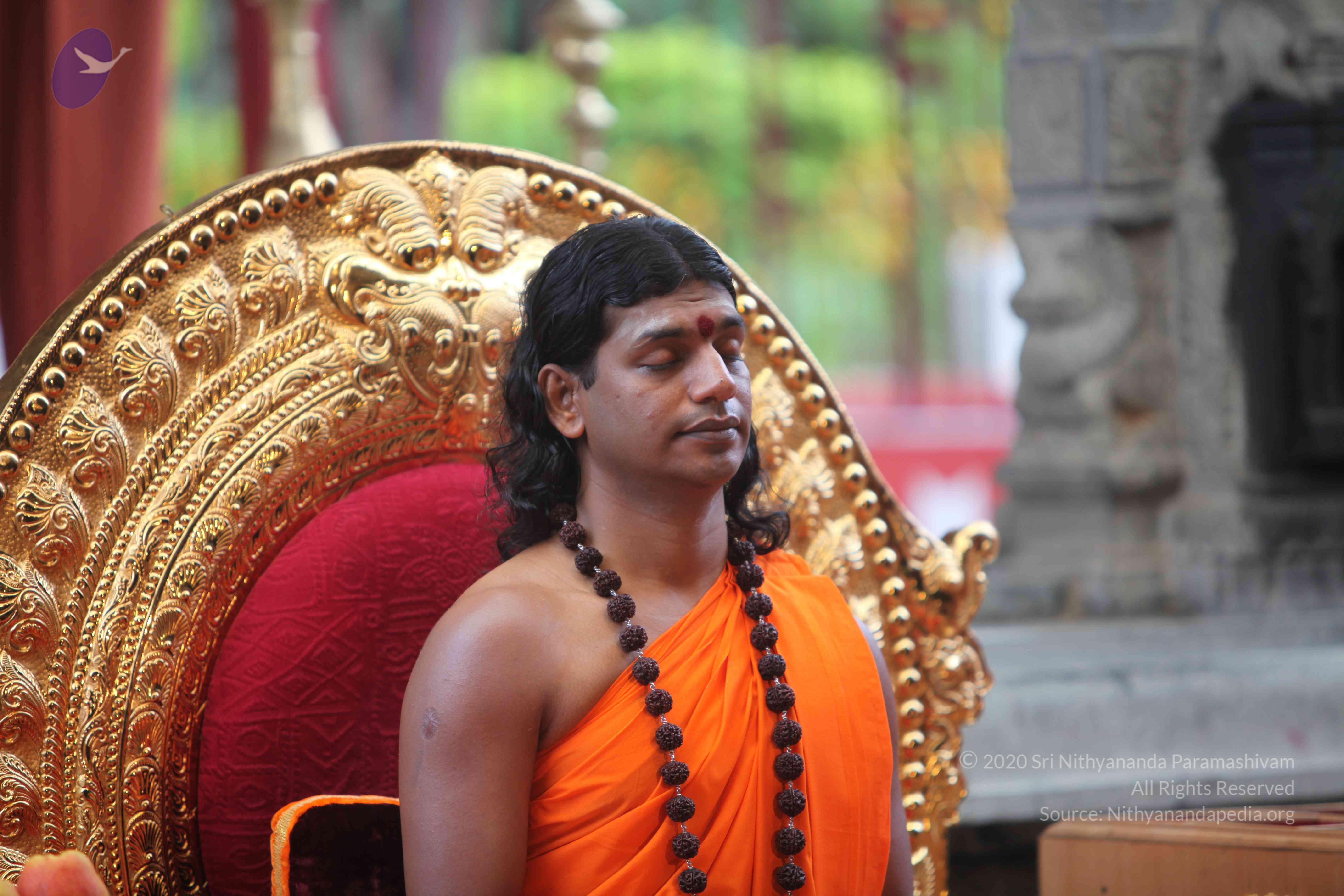 20101103_Photo_1256_IMG_9212_CMP_WM